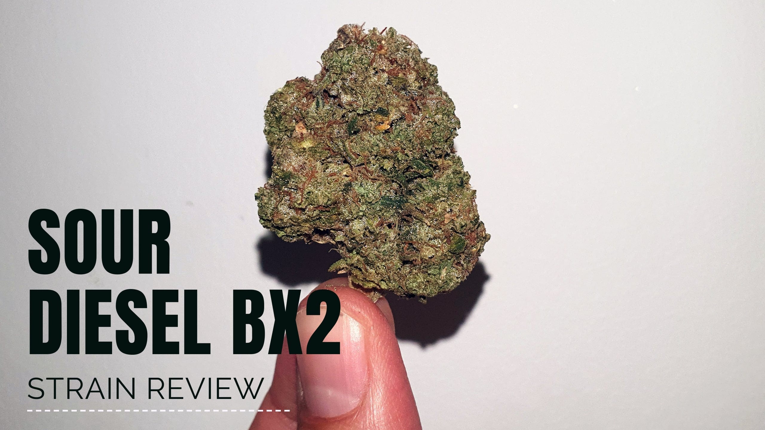 Archive image 7 for Sour Diesel Bx2 Cannabis Strain Review & Information