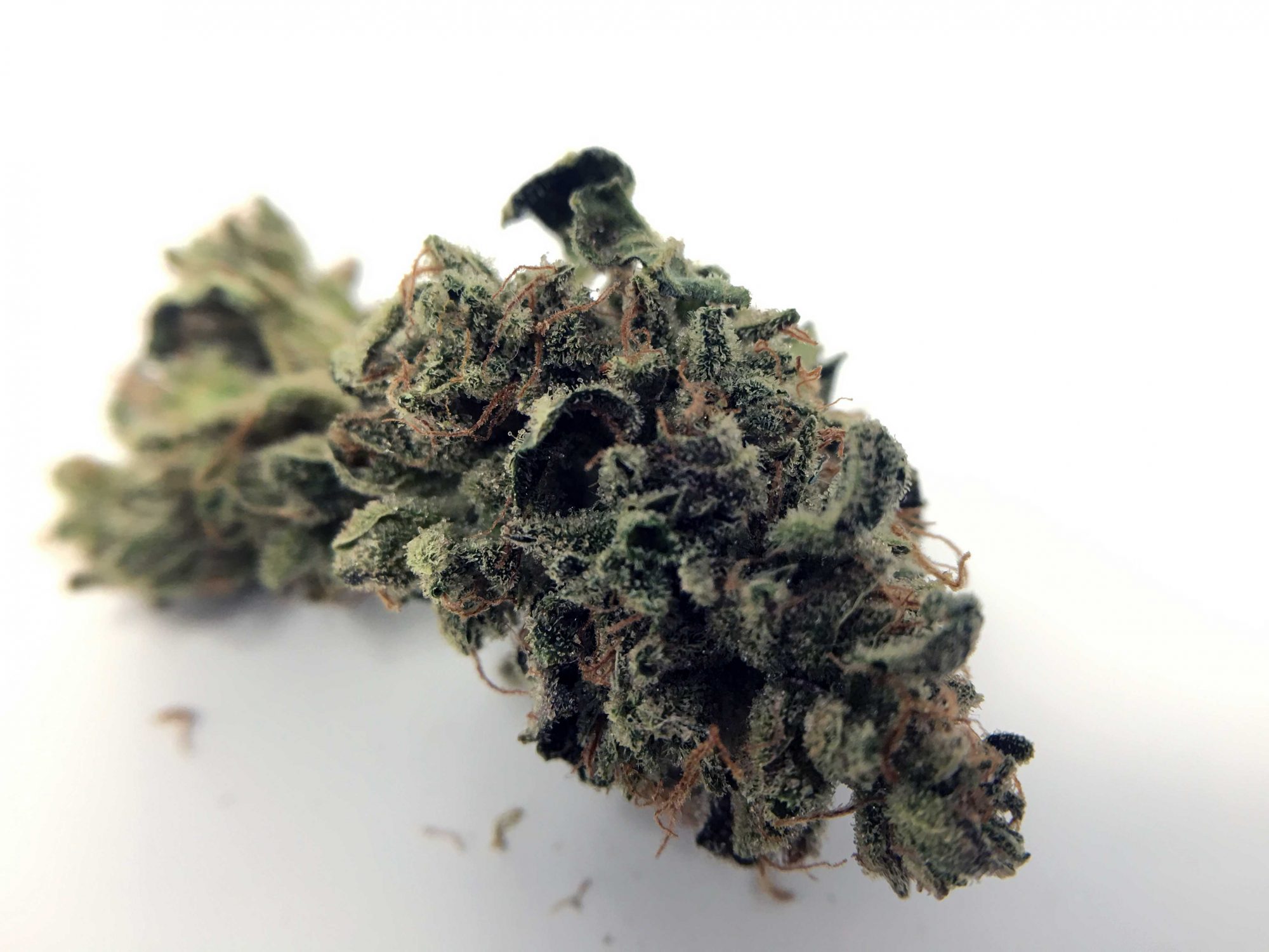 Archive image 4 for Sour Diesel Haze Cannabis Strain Review