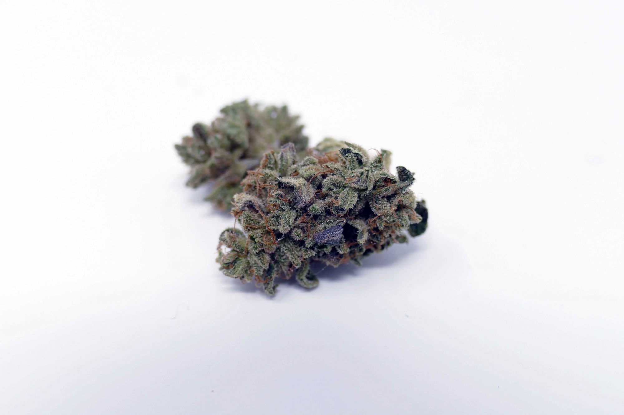 Archive image 6 for Sour Diesel Haze Cannabis Strain Review