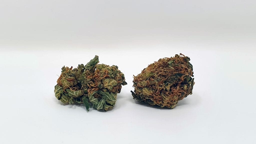 Archive image 2 for Sour Headstash Cannabis Strain Review & Information