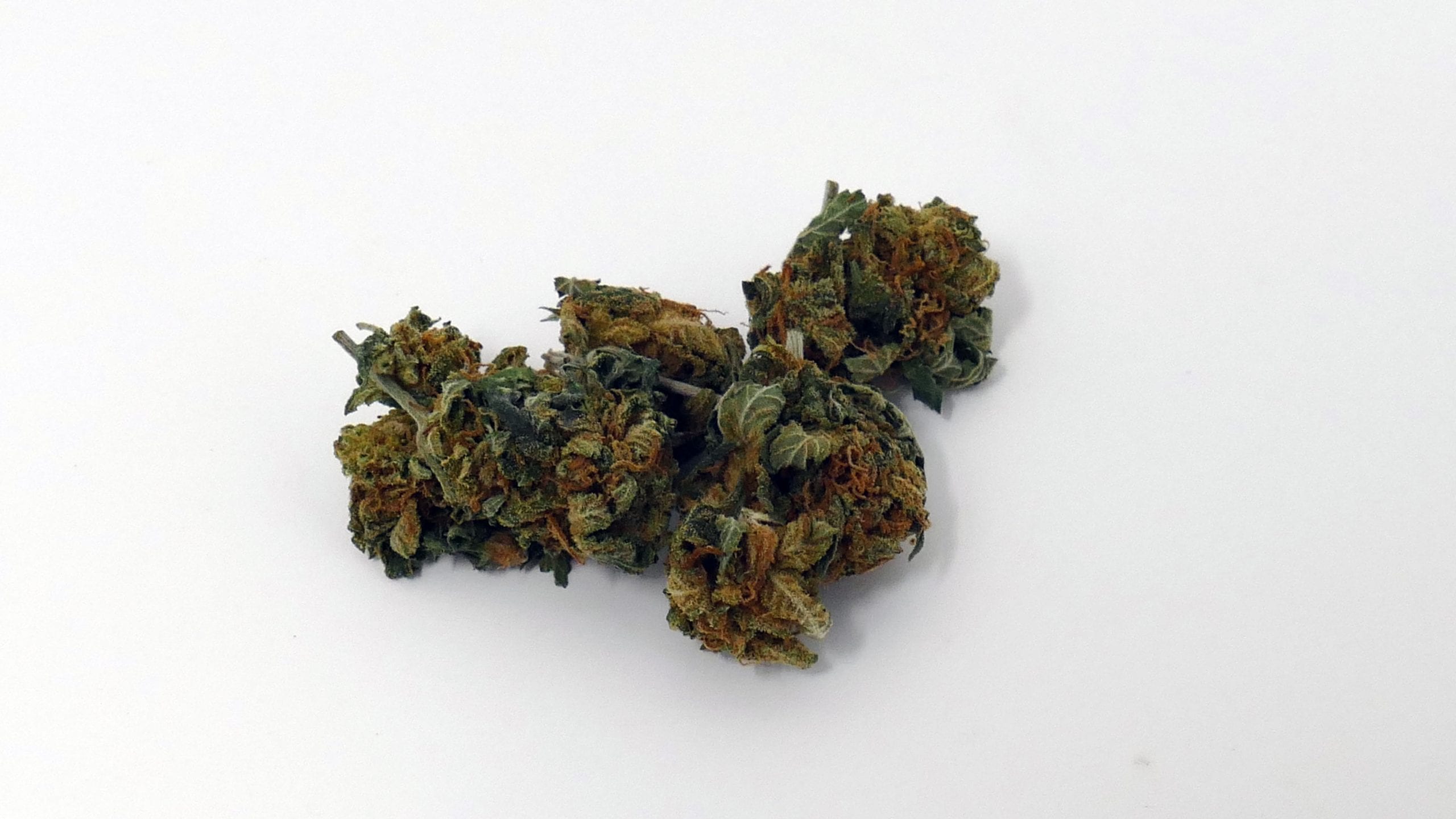 Archive image 4 for Sour Headstash Cannabis Strain Review & Information