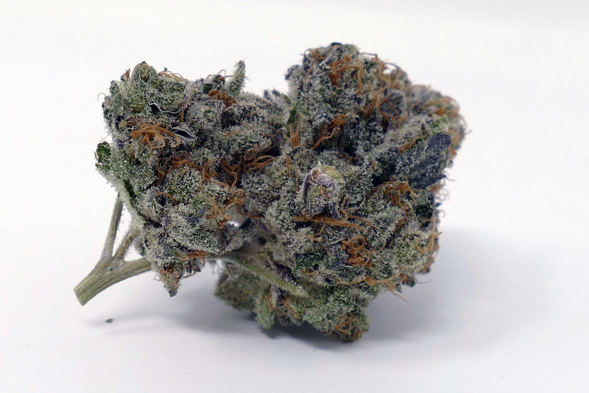 Archive image 5 for Sour Power OG Cannabis Strain Information & Review
