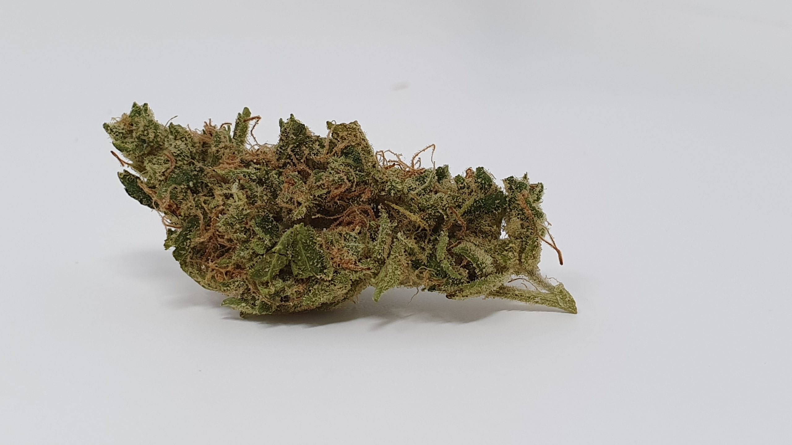 Archive image 4 for Sour Tangie Cannabis Strain Review & Information