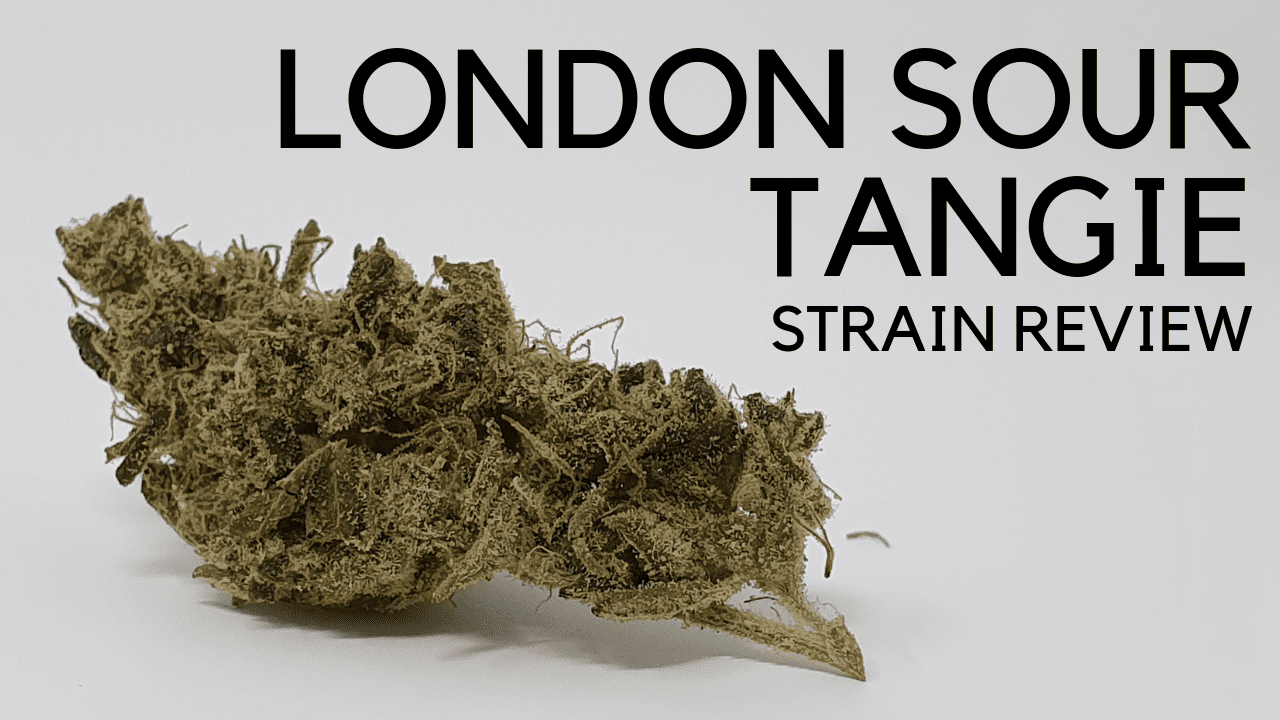 Archive image 5 for Sour Tangie Cannabis Strain Review & Information
