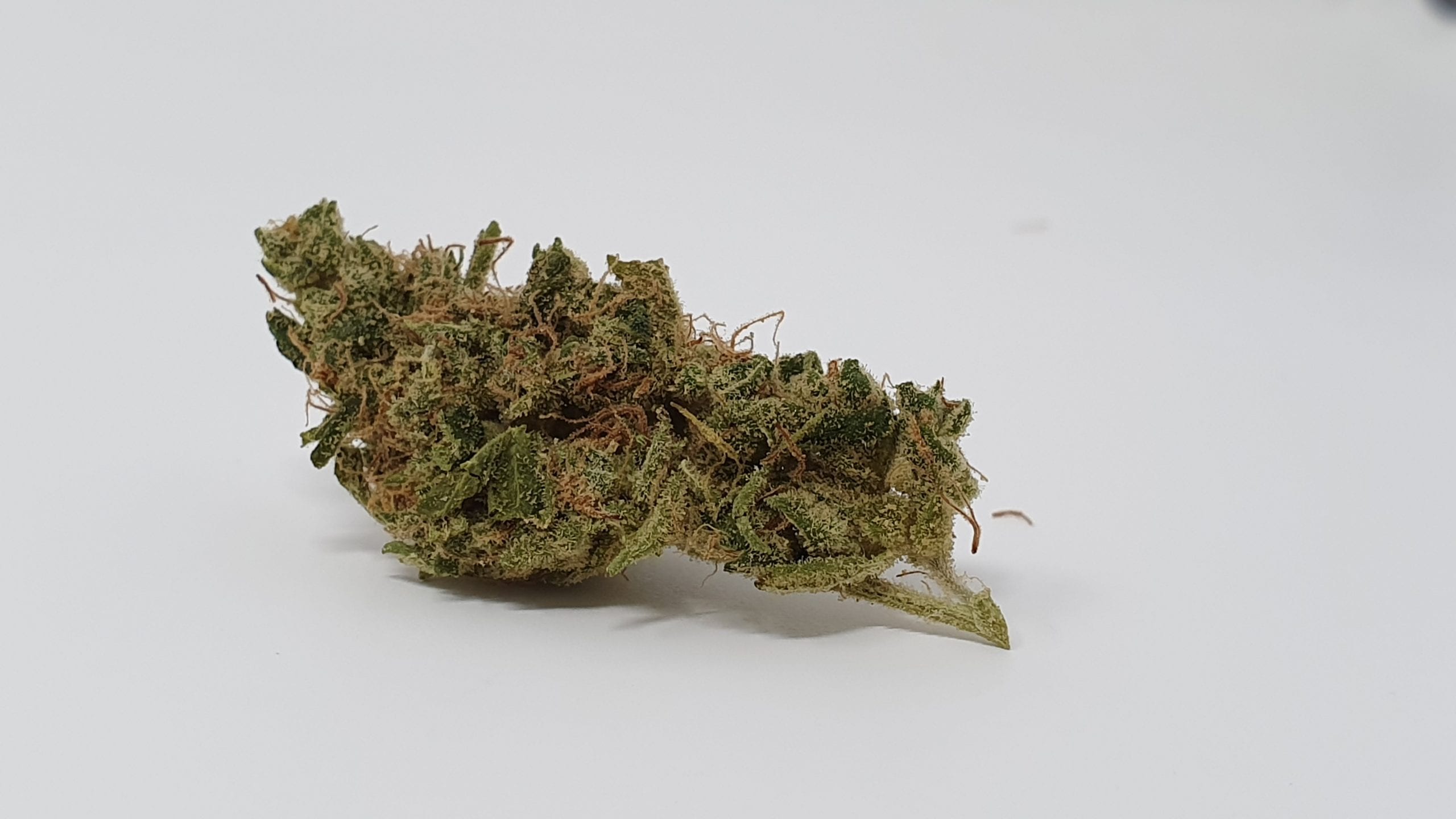 Archive image 6 for Sour Tangie Cannabis Strain Review & Information