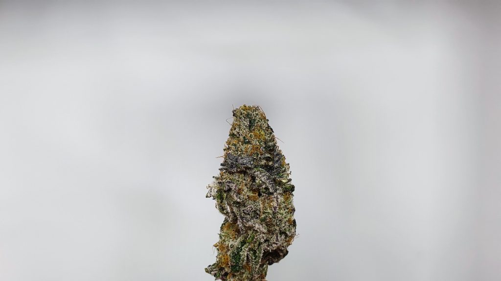 Archive image 2 for Space Jam Cannabis Strain Review & Information
