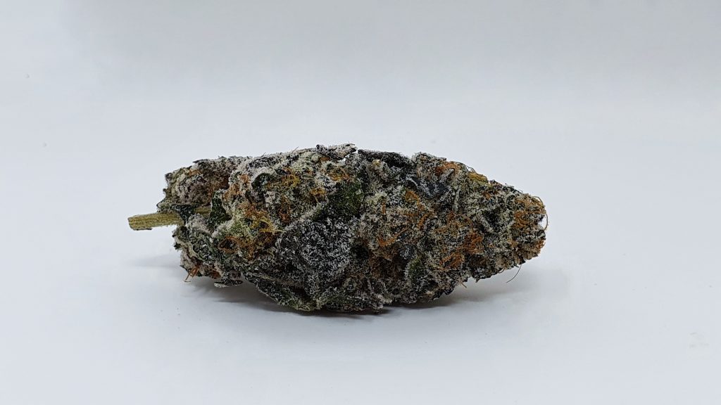 Archive image 3 for Space Jam Cannabis Strain Review & Information