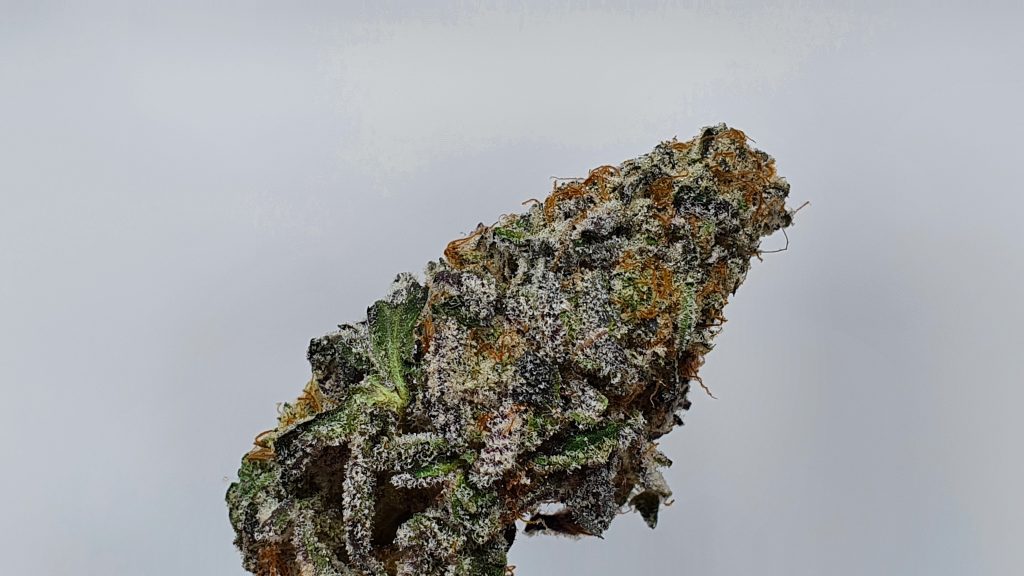 Archive image 4 for Space Jam Cannabis Strain Review & Information