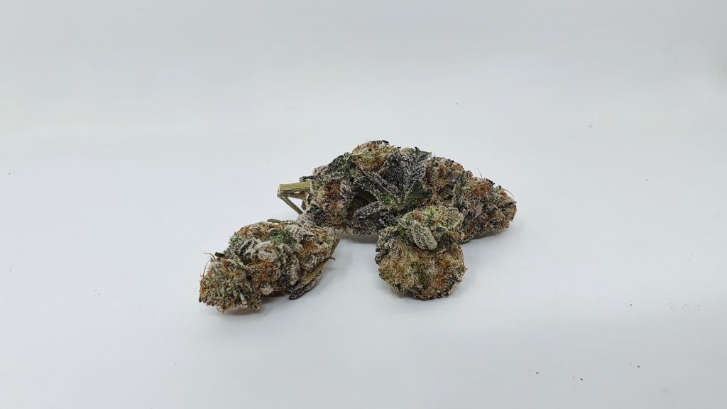 Archive image 5 for Space Jam Cannabis Strain Review & Information
