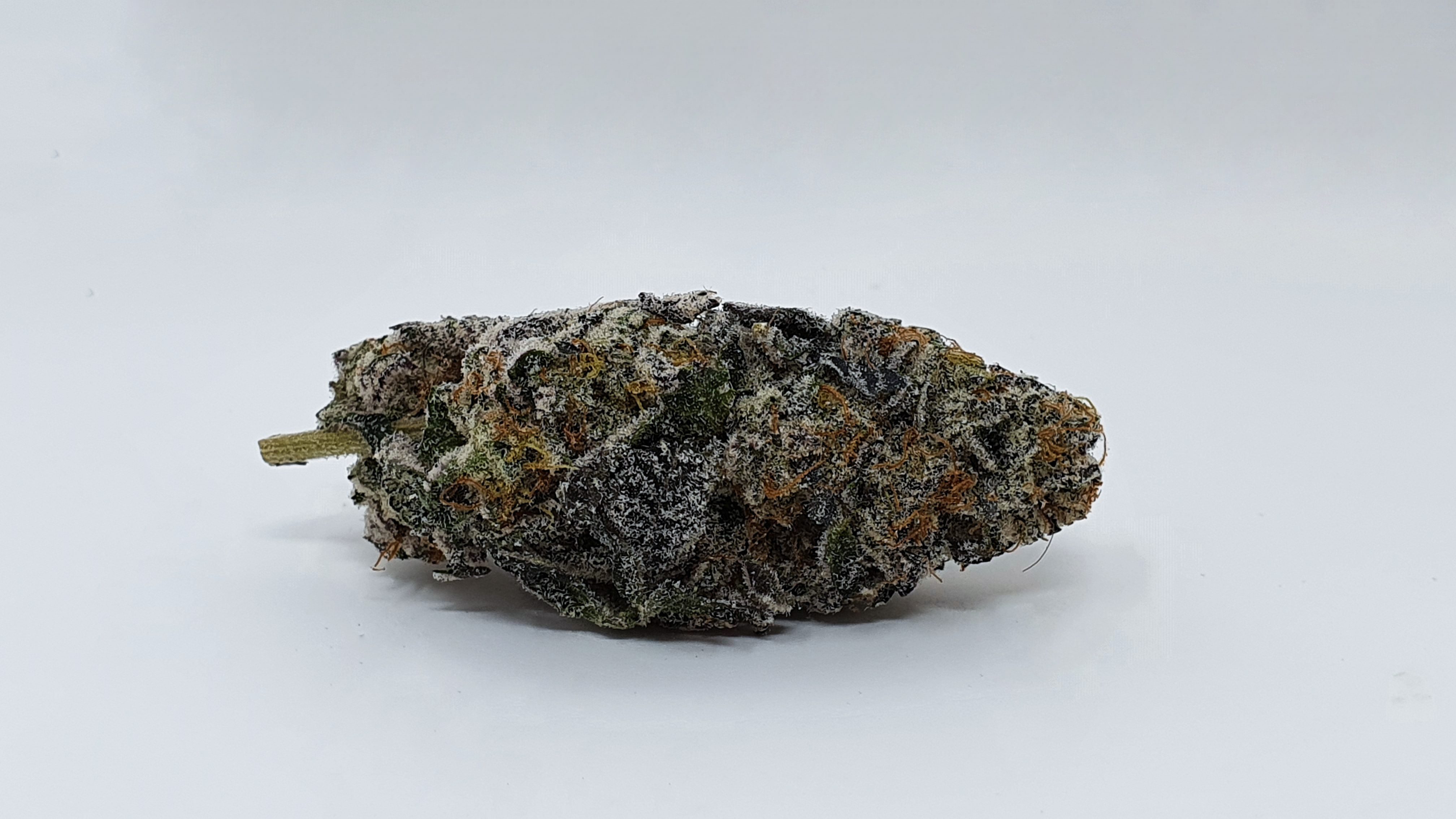 Archive image 8 for Space Jam Cannabis Strain Review & Information