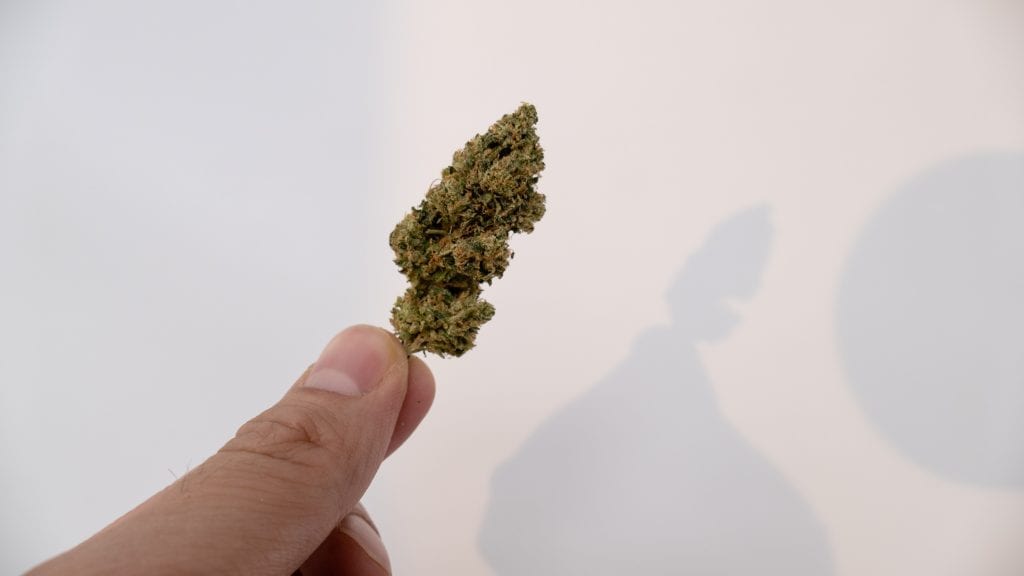 Archive image 3 for SSFVTK Cannabis Strain Review & Information