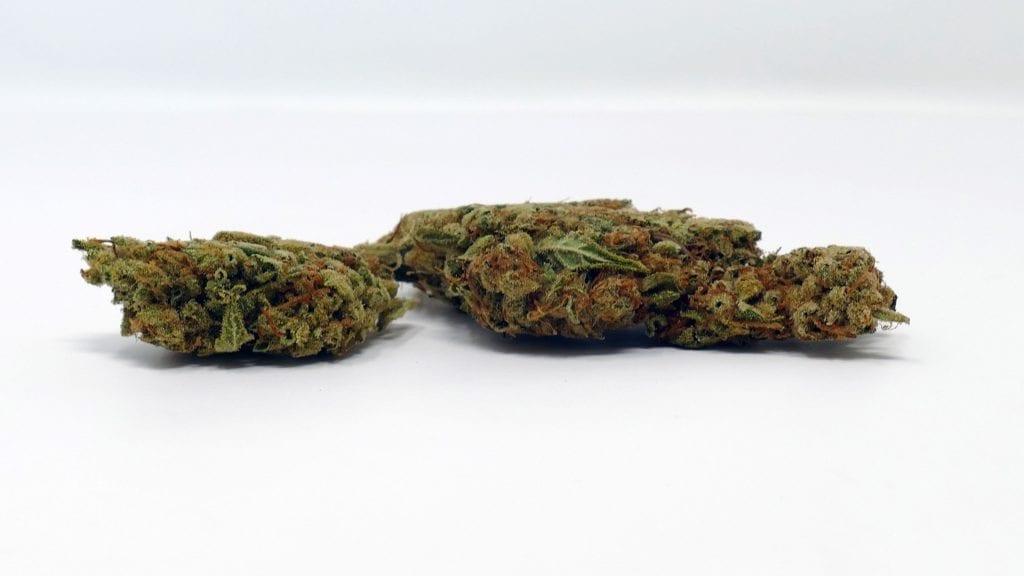 Archive image 2 for SSSDH Cannabis Strain Review & Information
