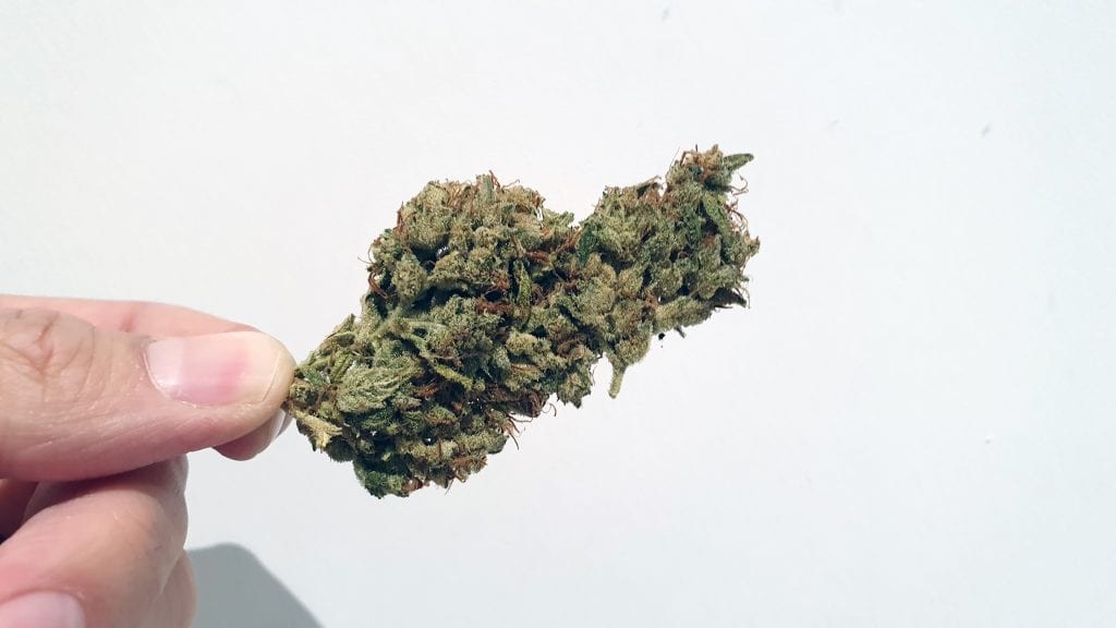 Archive image 3 for SSSDH Cannabis Strain Review & Information