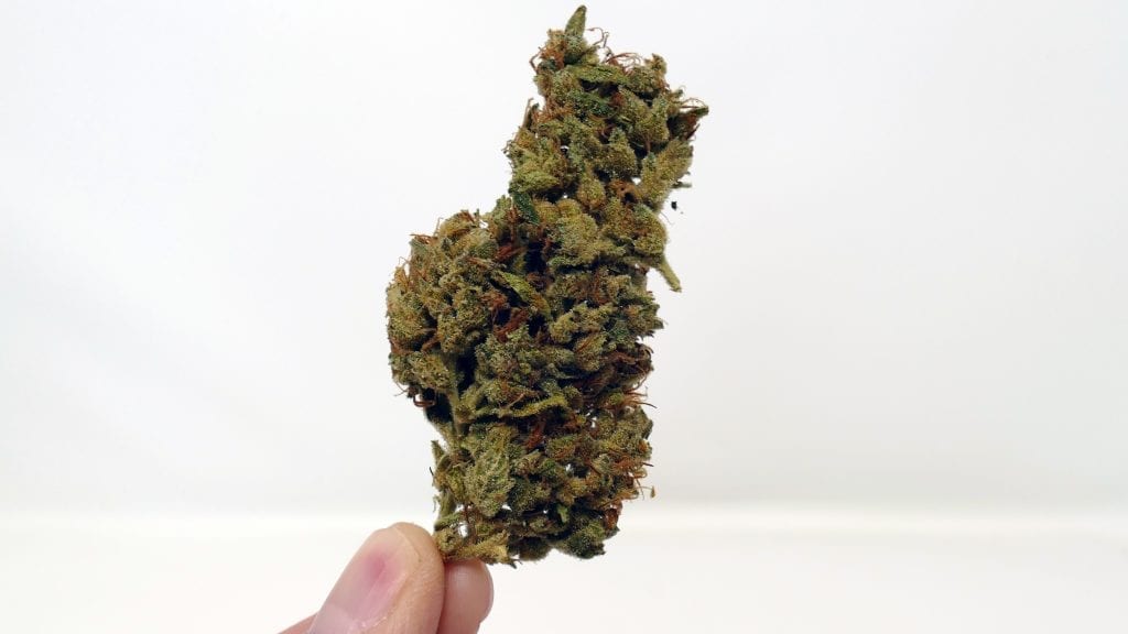 Archive image 5 for SSSDH Cannabis Strain Review & Information