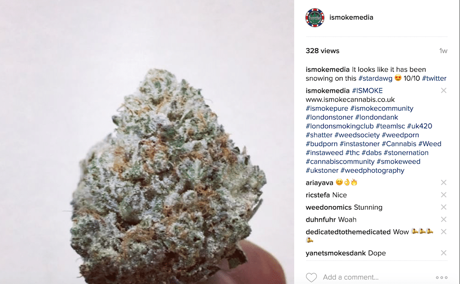 Archive image 2 for Stardawg Strain Review