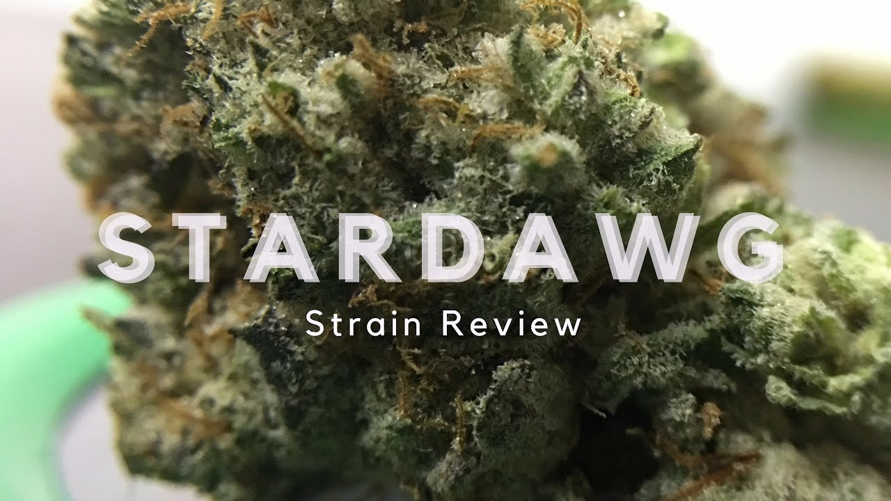 Archive image 4 for Stardawg Strain Review