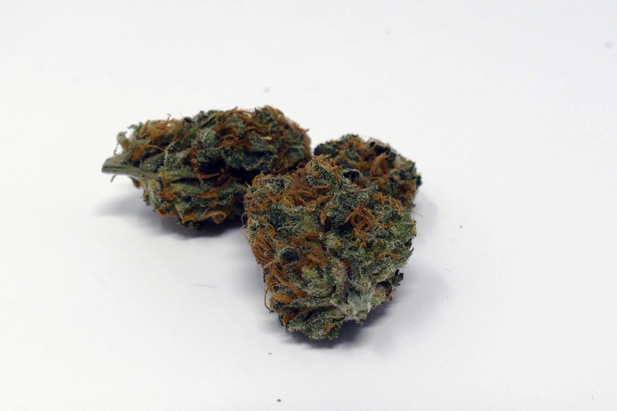 Archive image 3 for Strawberry Cough Cannabis Strain Review & Information