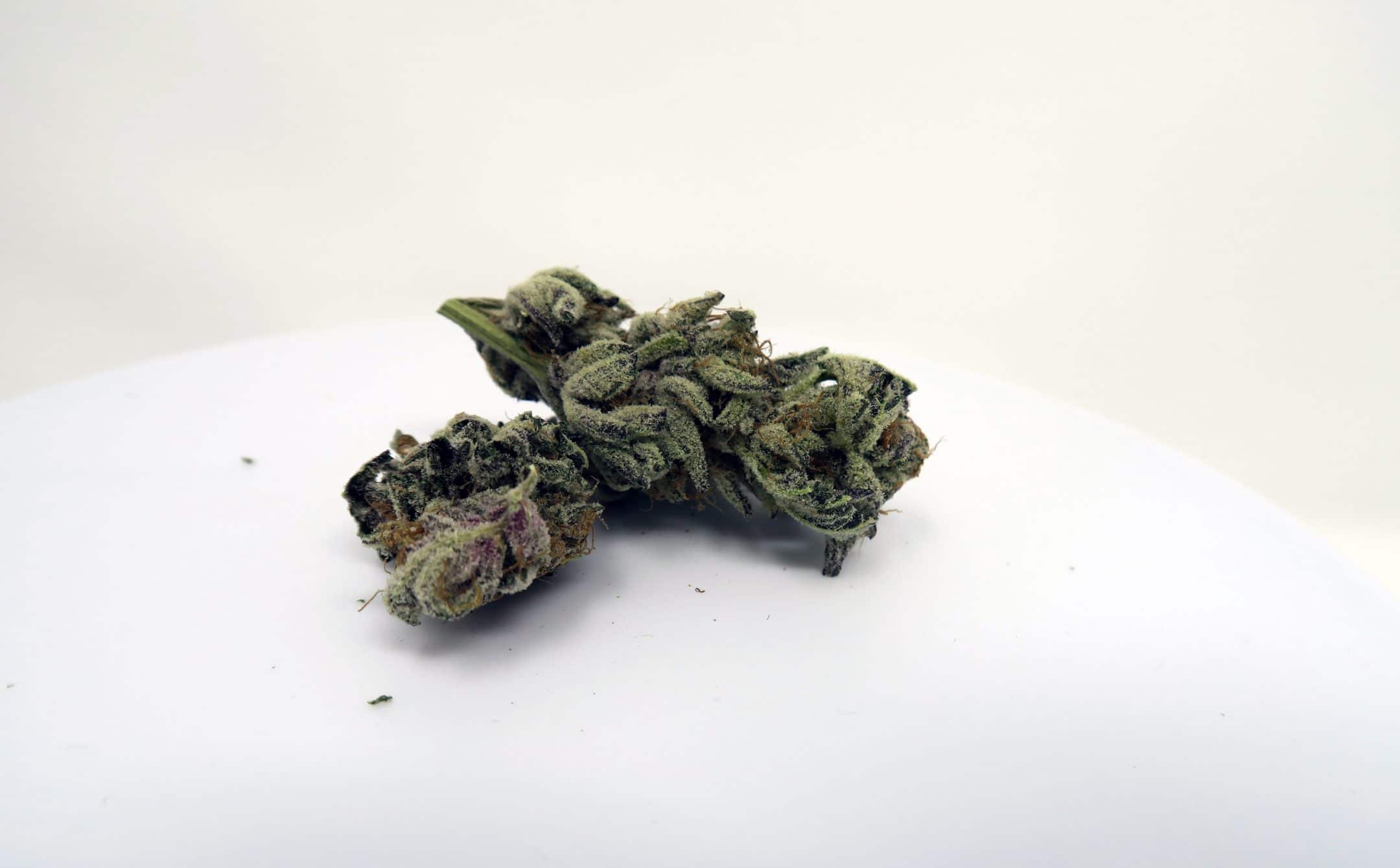 Archive image 3 for Strawberry Crusha Weed Report