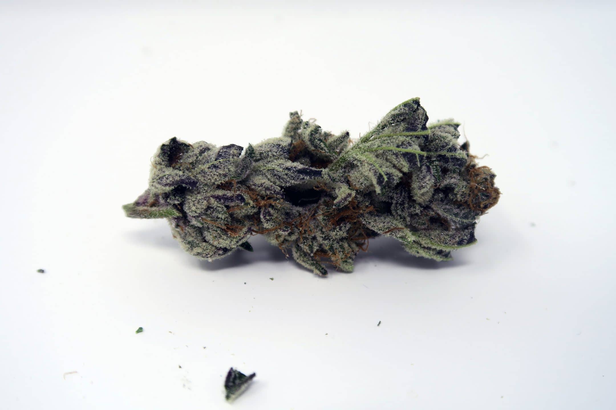Archive image 4 for Strawberry Crusha Weed Report