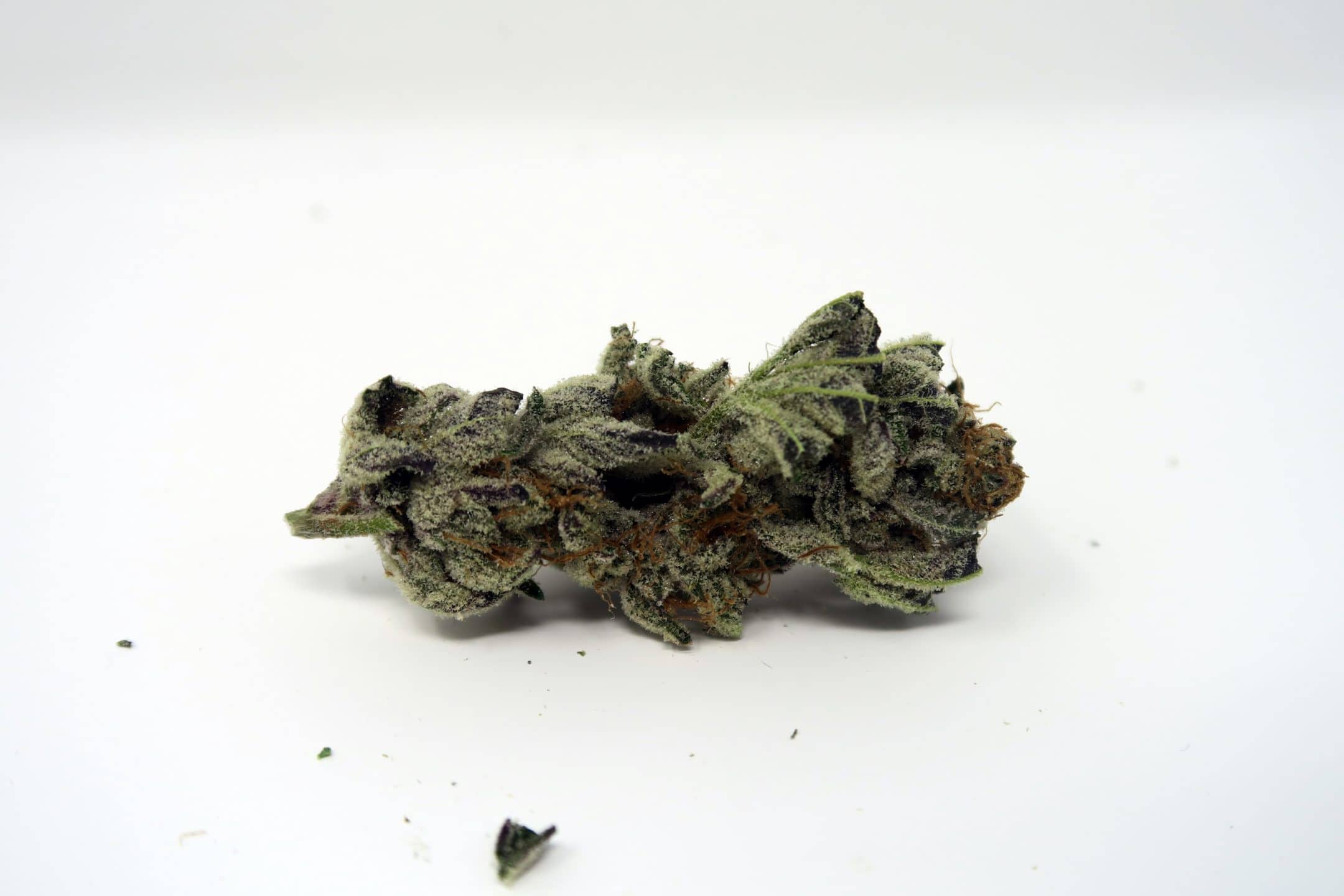Archive image 6 for Strawberry Crusha Weed Report