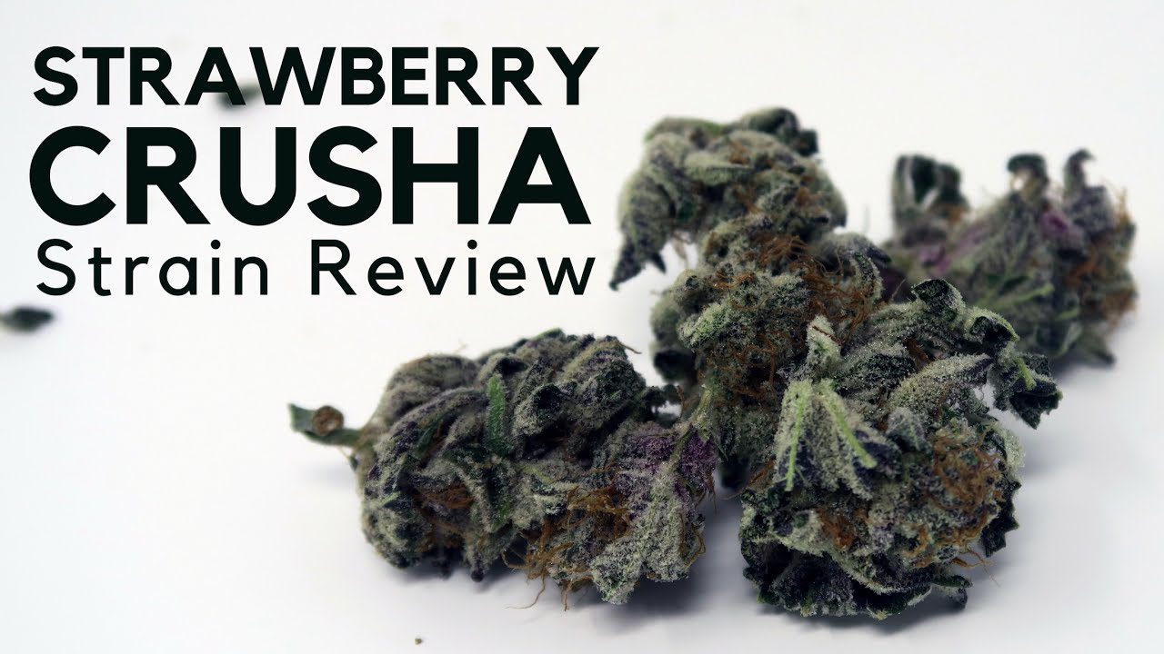 Archive image 7 for Strawberry Crusha Weed Report