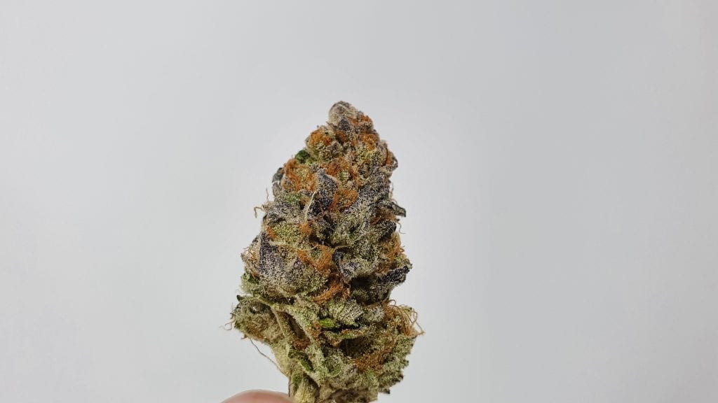 Archive image 2 for Strawpicanna Cannabis Strain Review & Information
