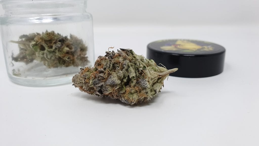 Archive image 5 for Strawpicanna Cannabis Strain Review & Information