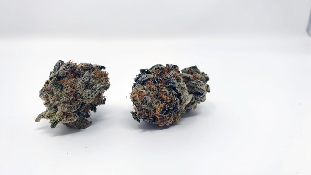 Archive image 3 for Sunset Sherbet Cannabis Strain Review & information