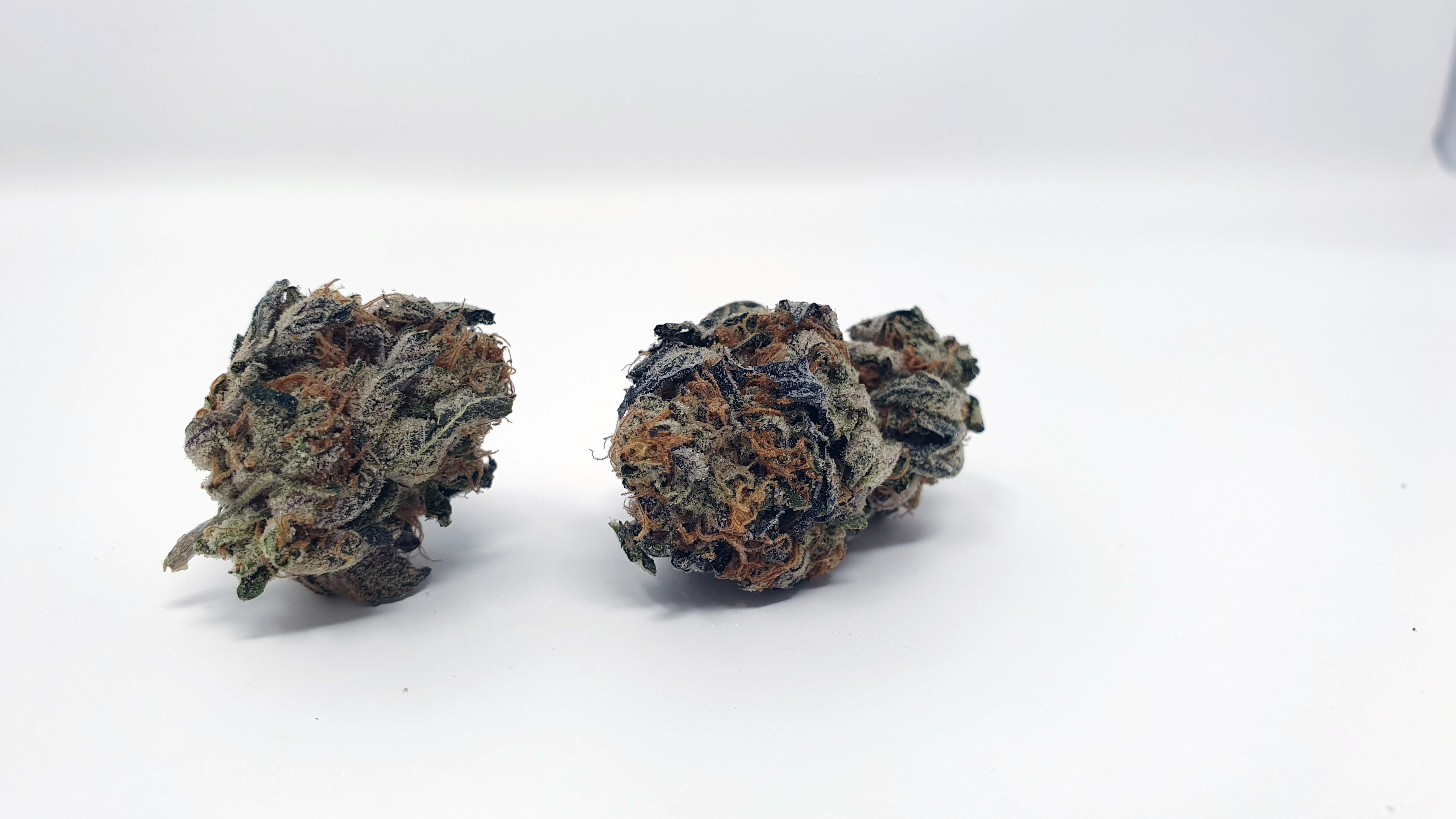 Archive image 6 for Sunset Sherbet Cannabis Strain Review & information