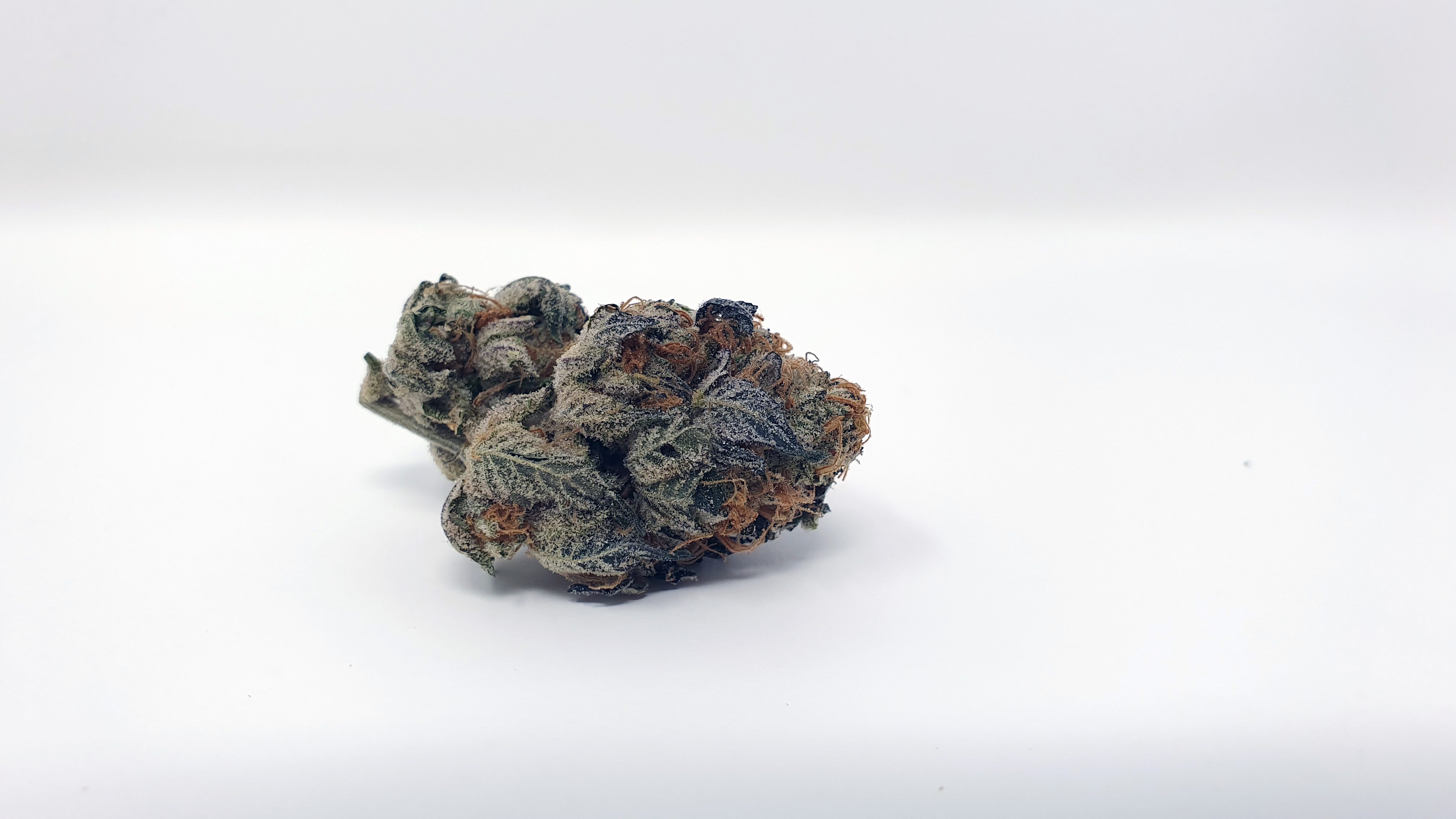 Archive image 7 for Sunset Sherbet Cannabis Strain Review & information