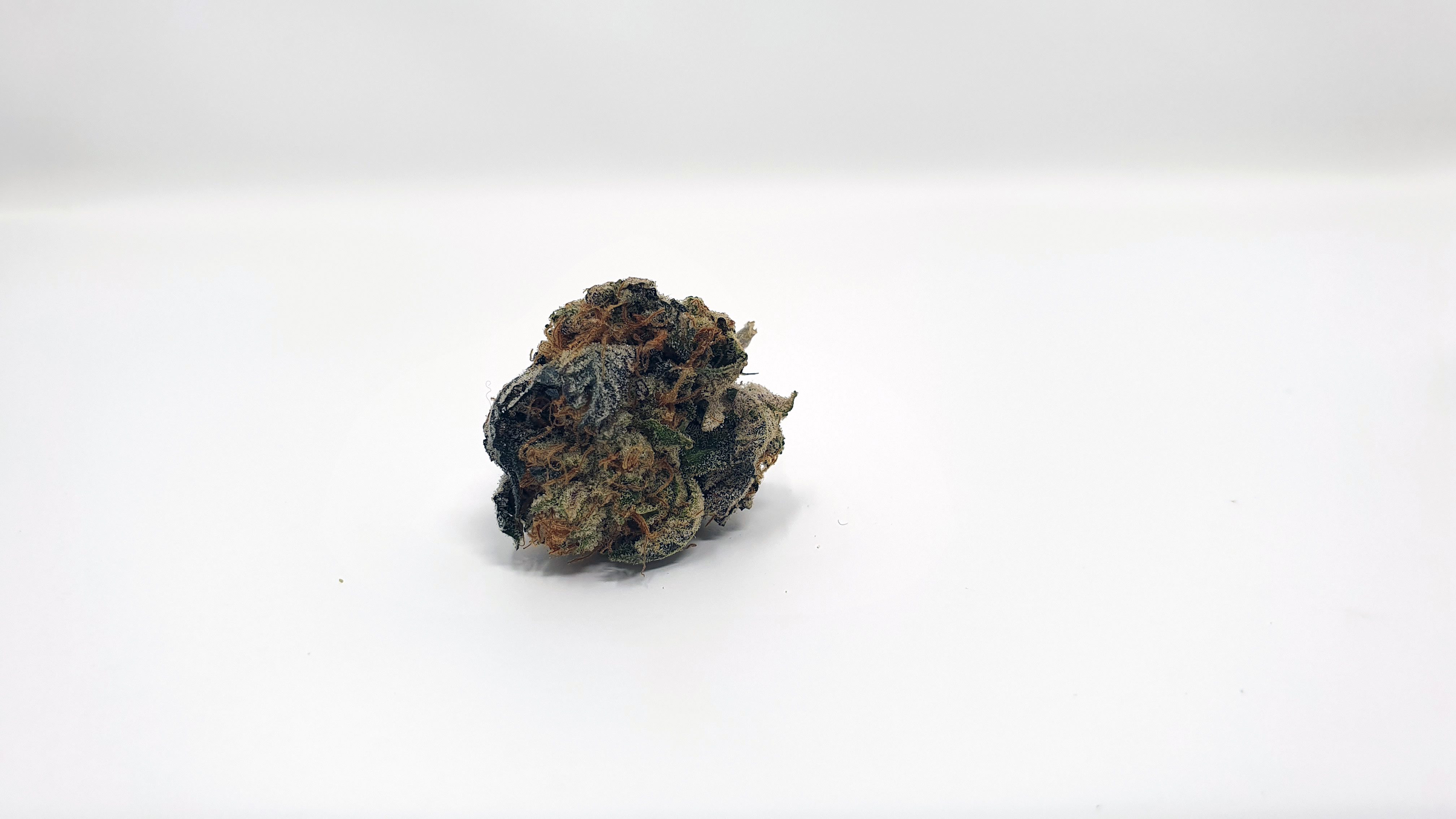 Archive image 8 for Sunset Sherbet Cannabis Strain Review & information
