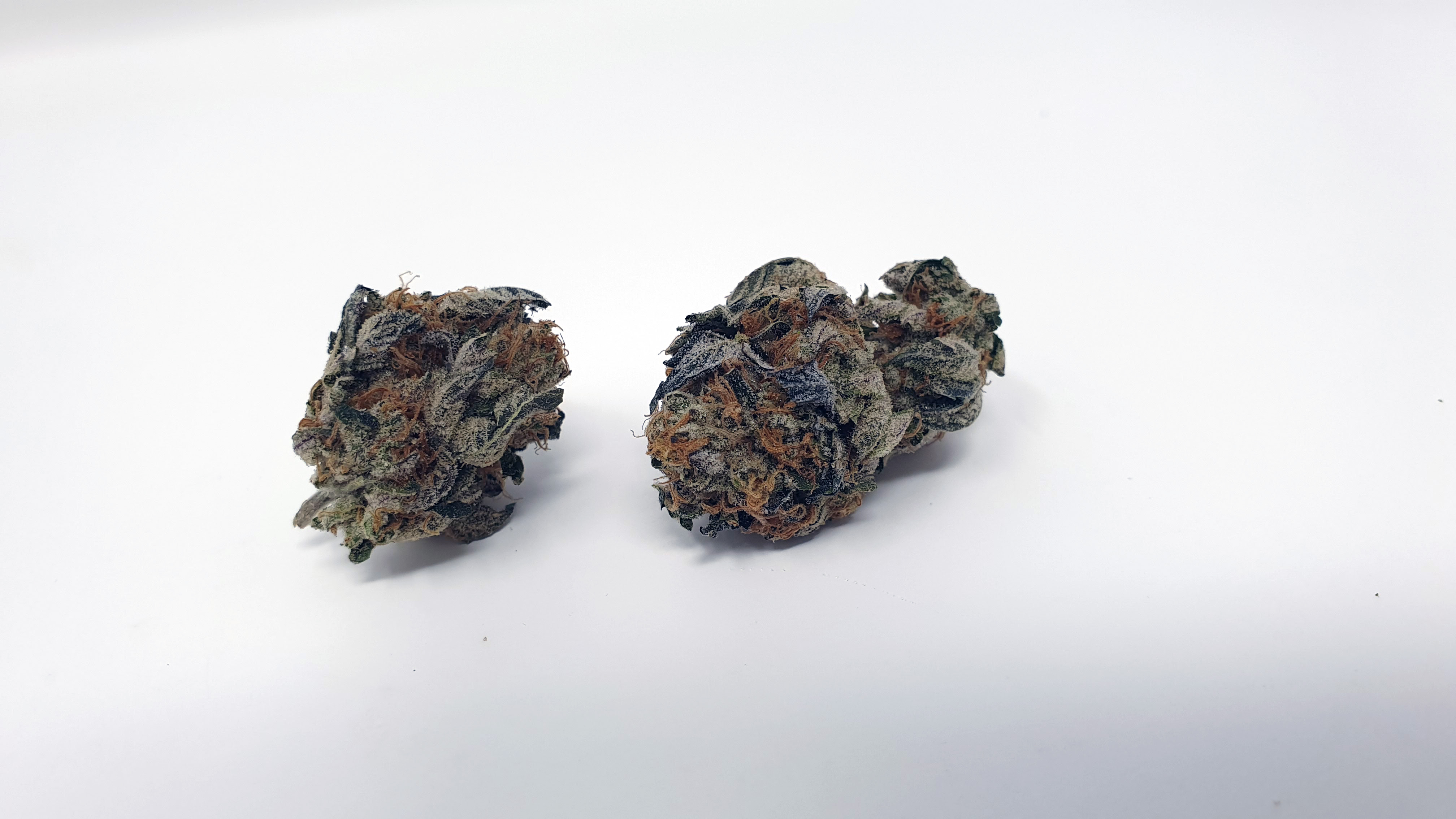 Archive image 9 for Sunset Sherbet Cannabis Strain Review & information