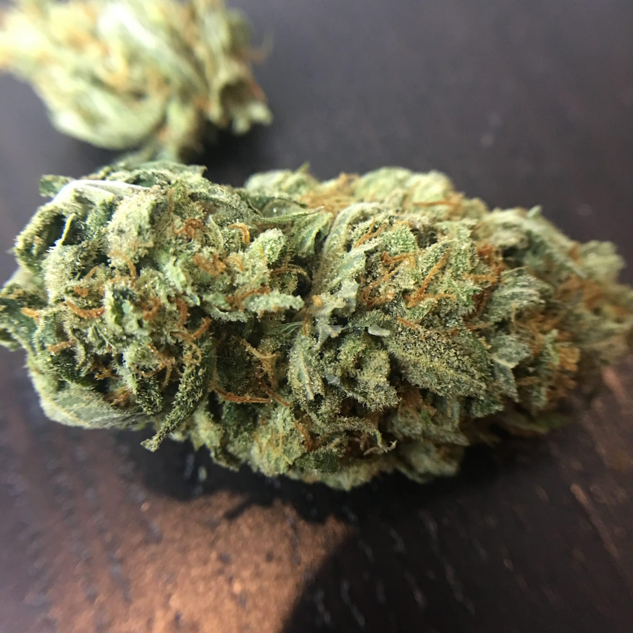 Archive image 2 for Super Lemon Haze Strain Review