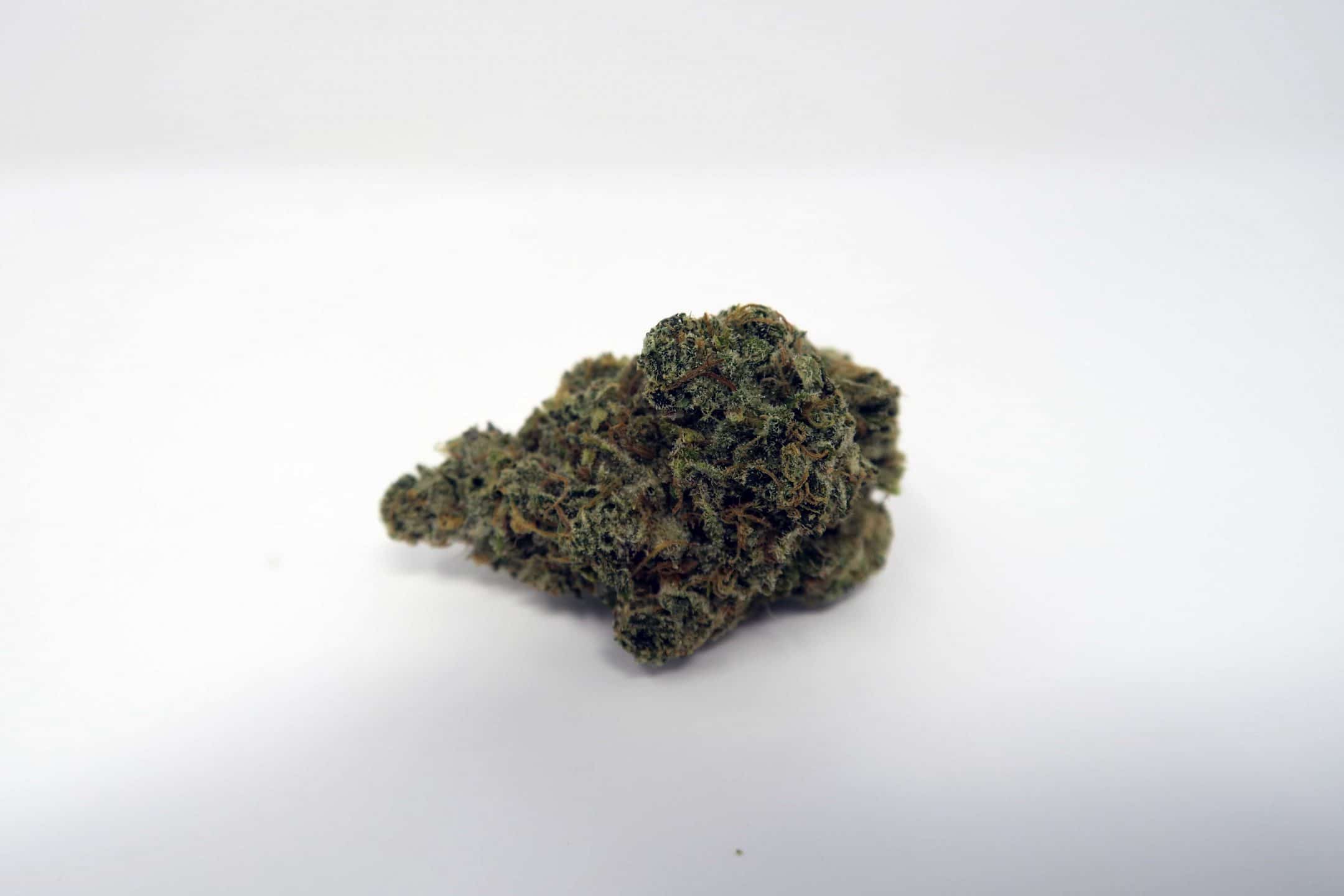 Archive image 3 for Super Orange Glue cannabis strain review