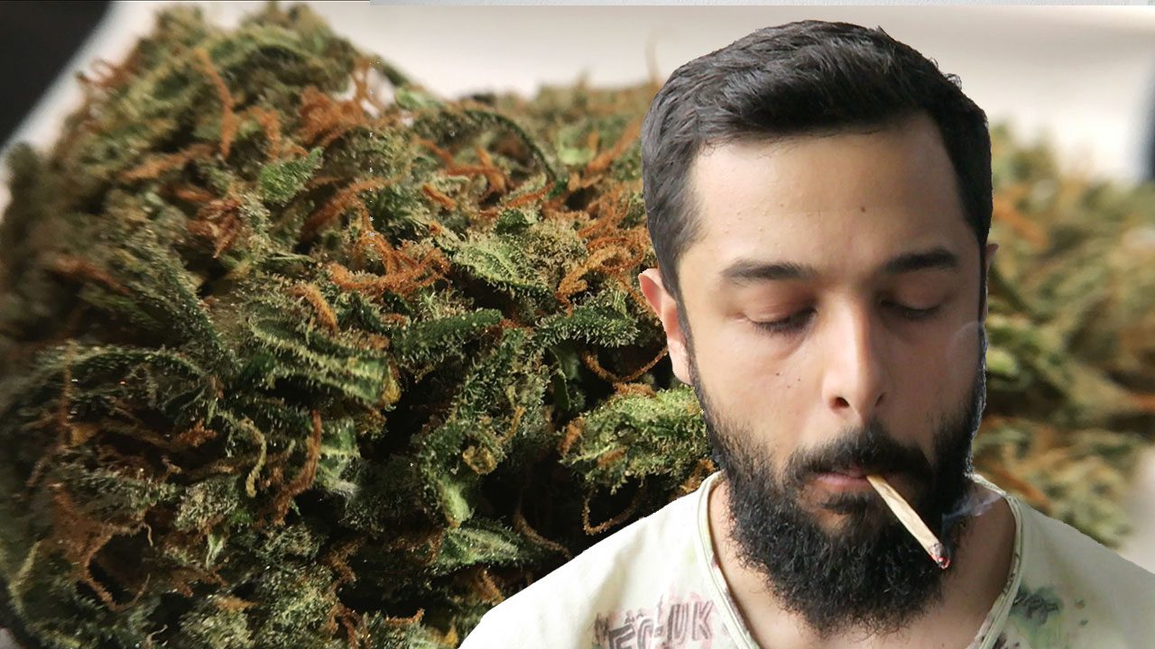 Archive image 3 for Super Silver Haze Cannabis Strain review