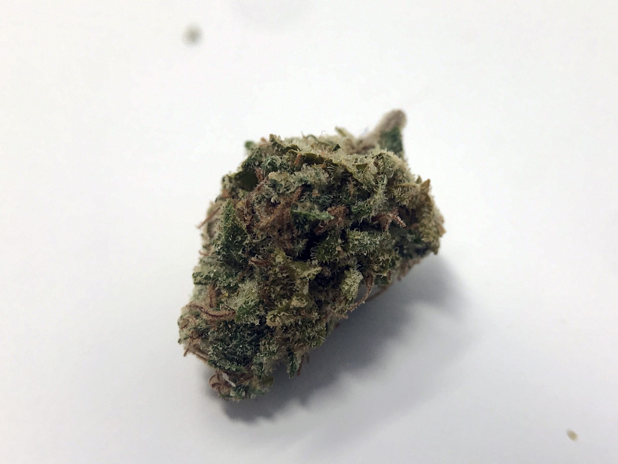 Archive image 2 for Tahoe OG Cannabis Strain Information & Review