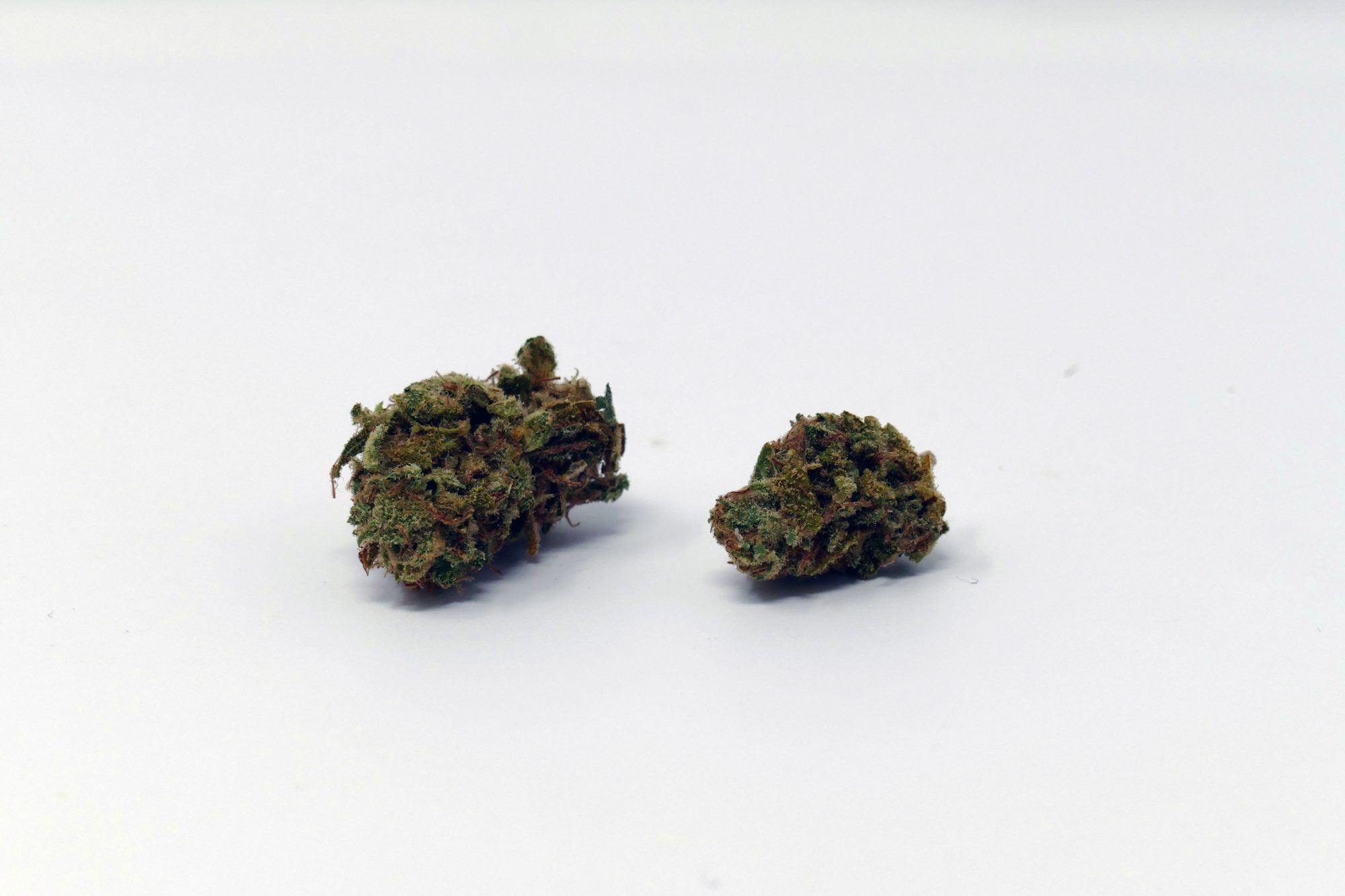 Archive image 3 for Tahoe OG Cannabis Strain Information & Review
