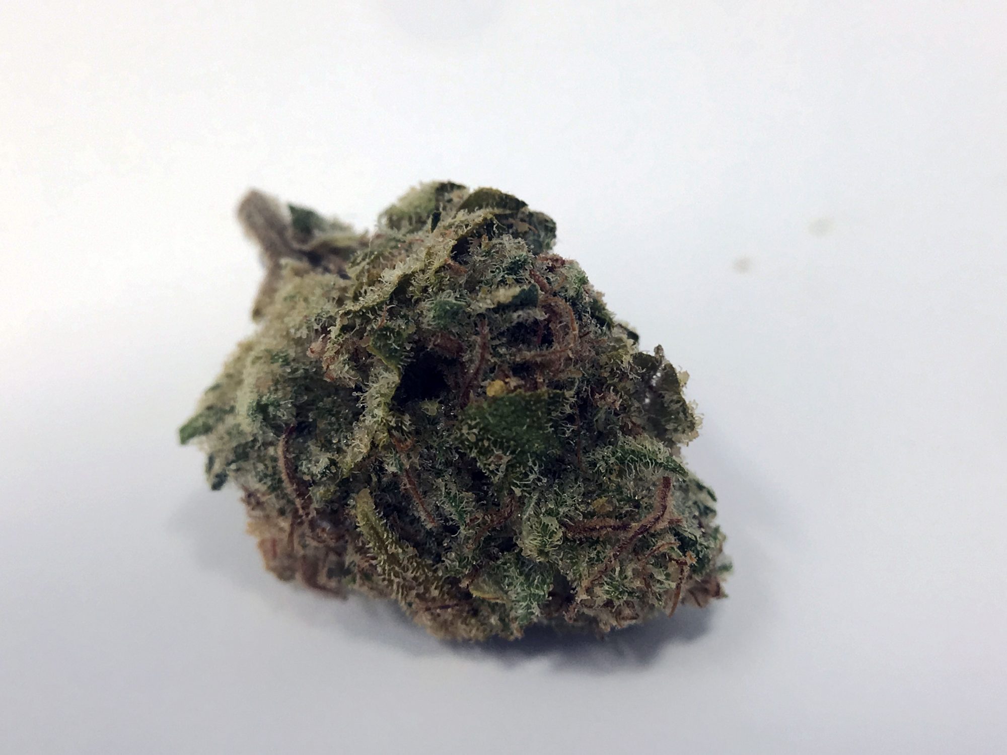 Archive image 4 for Tahoe OG Cannabis Strain Information & Review