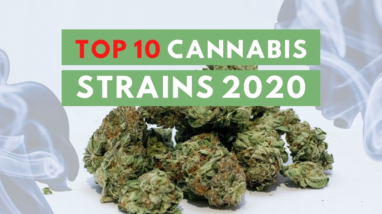 Archive image 2 for Top 10 Cannabis Strains of 2020