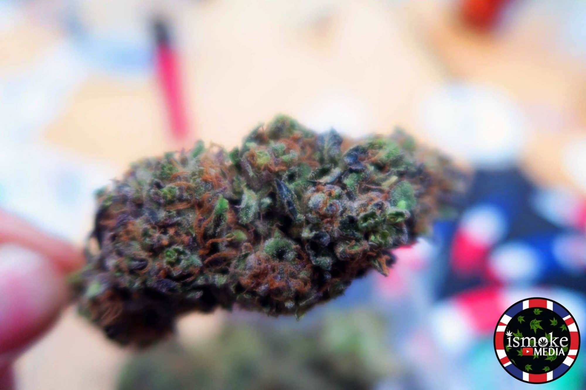 Top 5 Cannabis Strains: July 2017