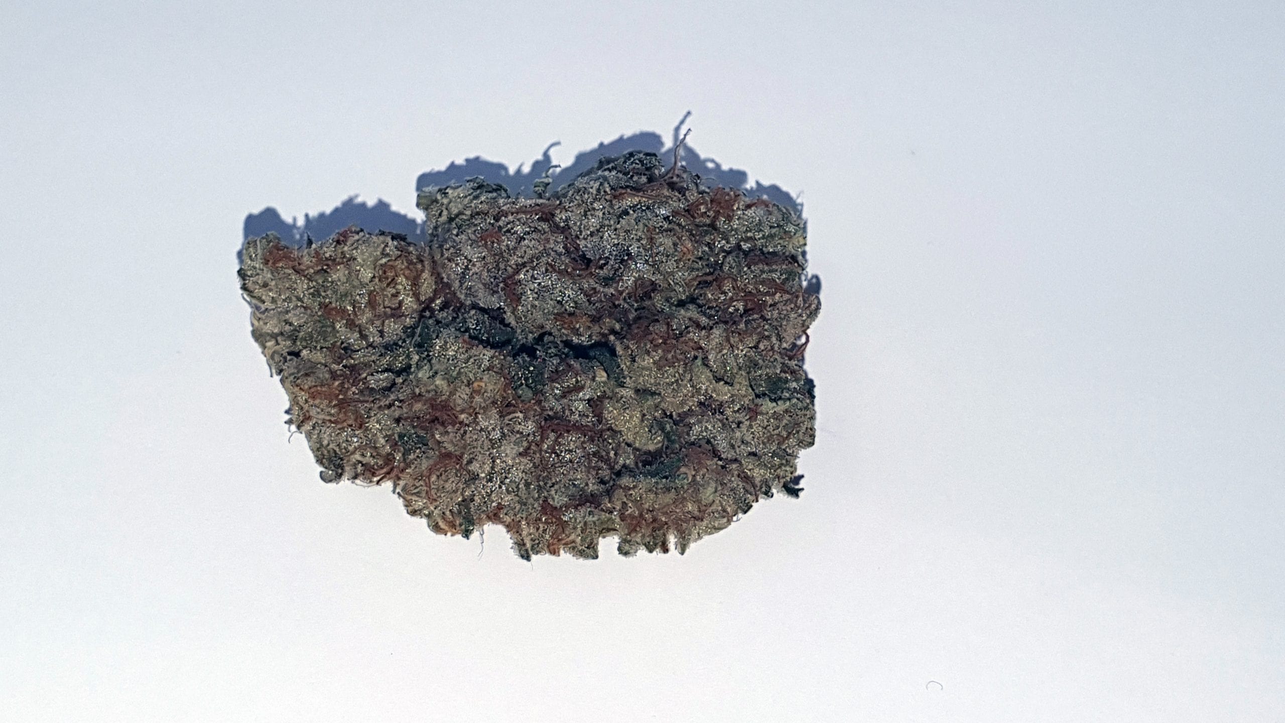 Archive image 2 for Tropic Heat Cannabis Strain Review & Information