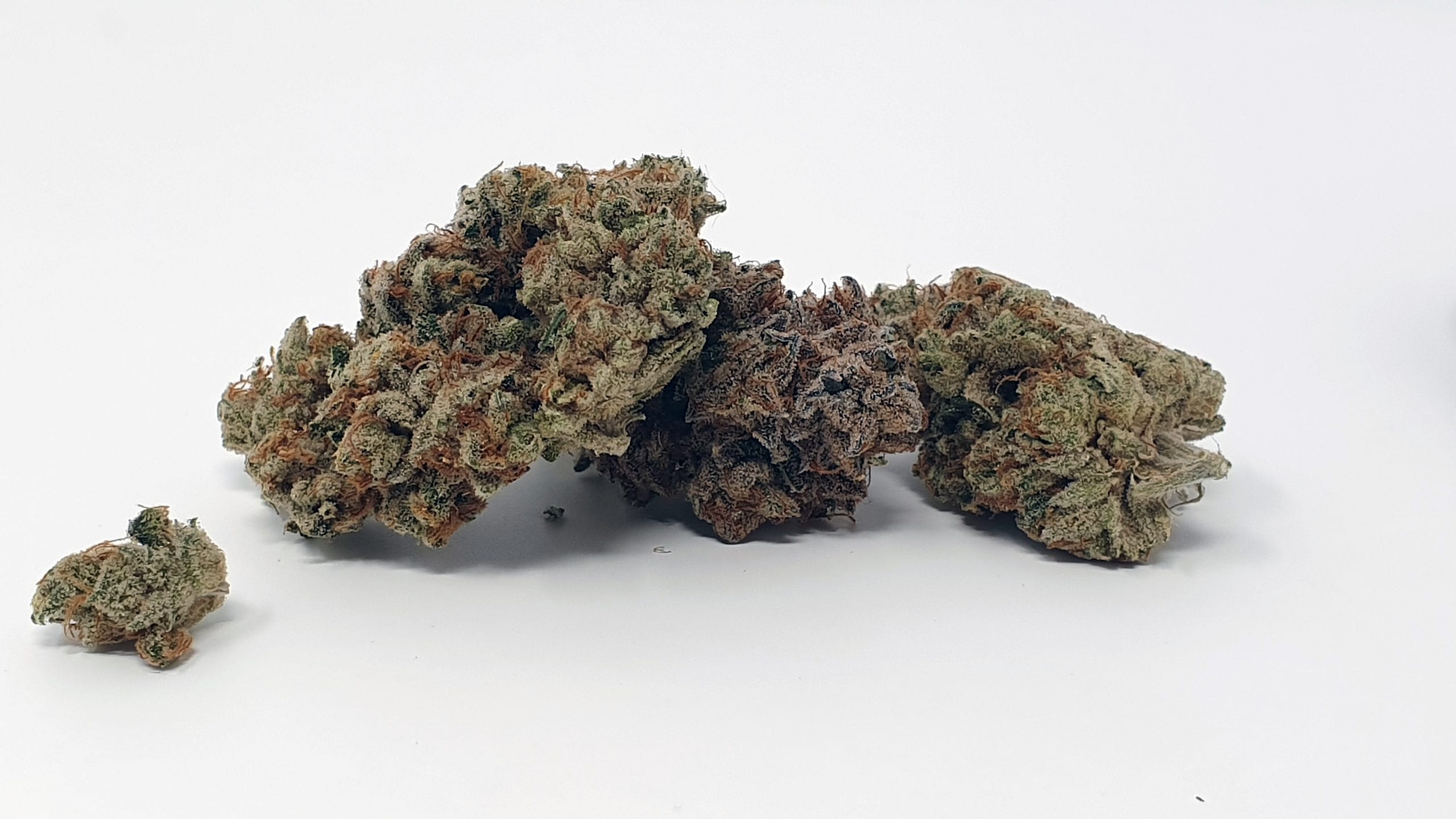 Archive image 4 for Tropic Heat Cannabis Strain Review & Information