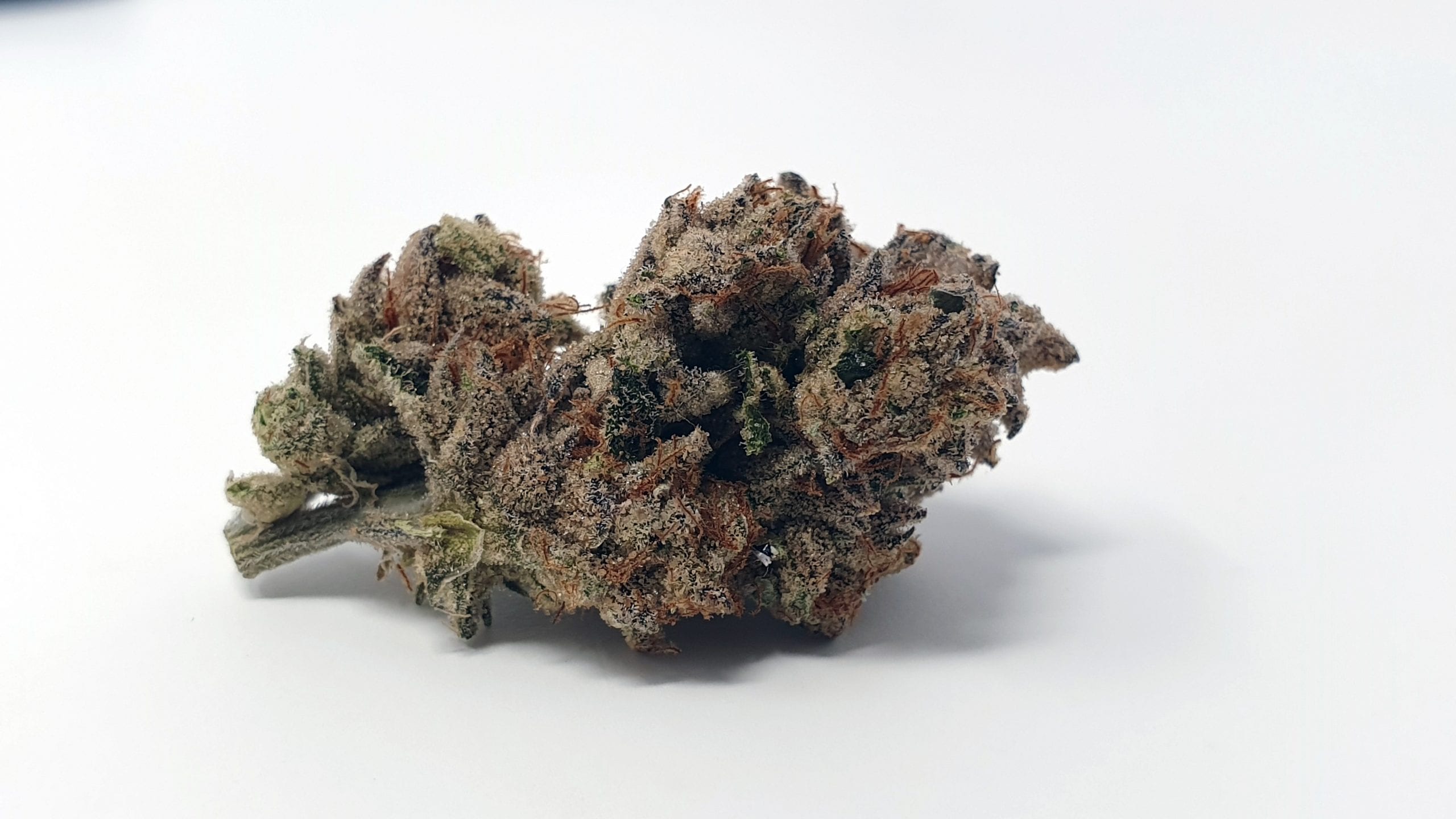 Archive image 5 for Tropic Heat Cannabis Strain Review & Information