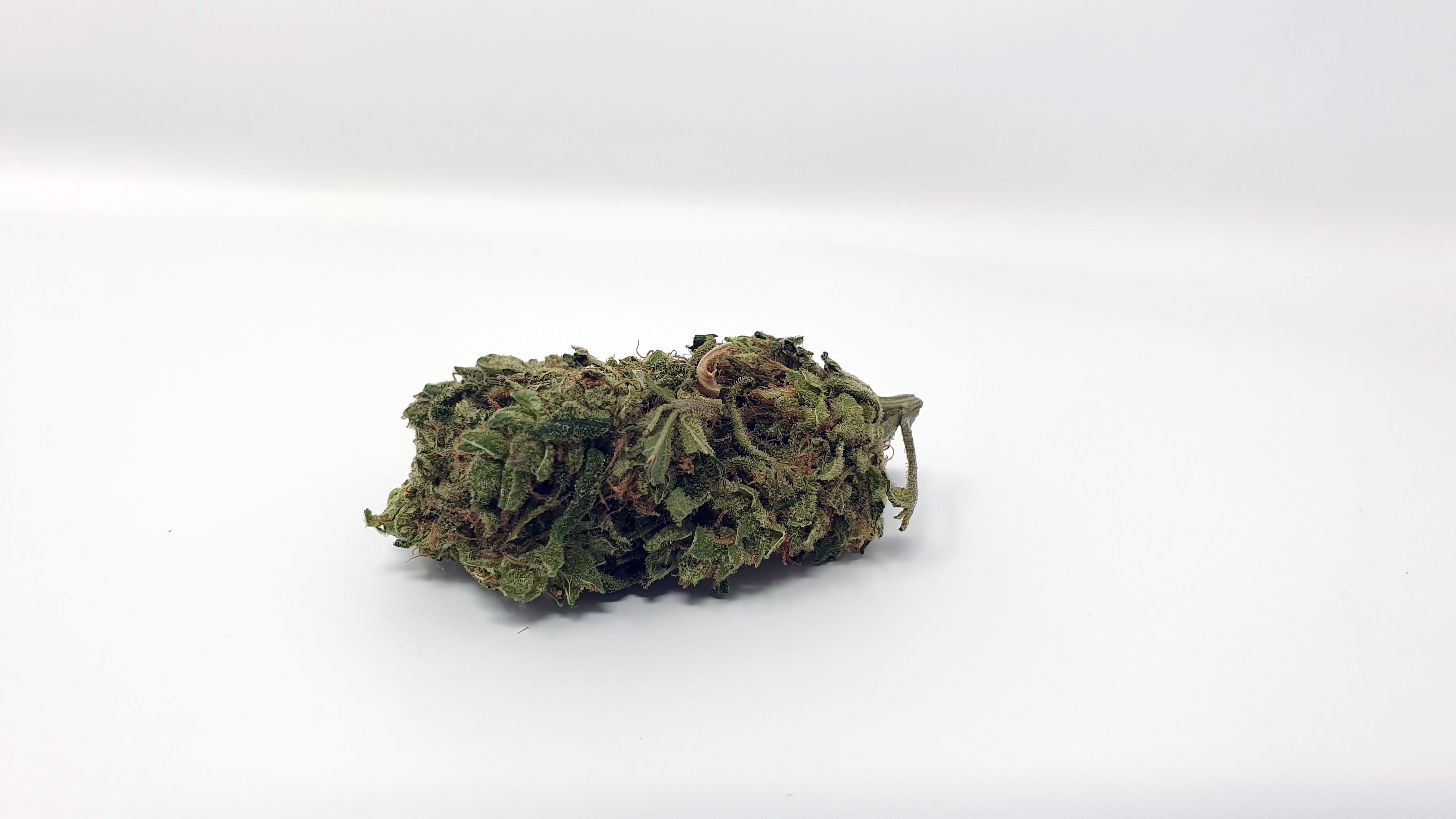 Archive image 6 for UGORG #1 Cannabis Strain Review & Information