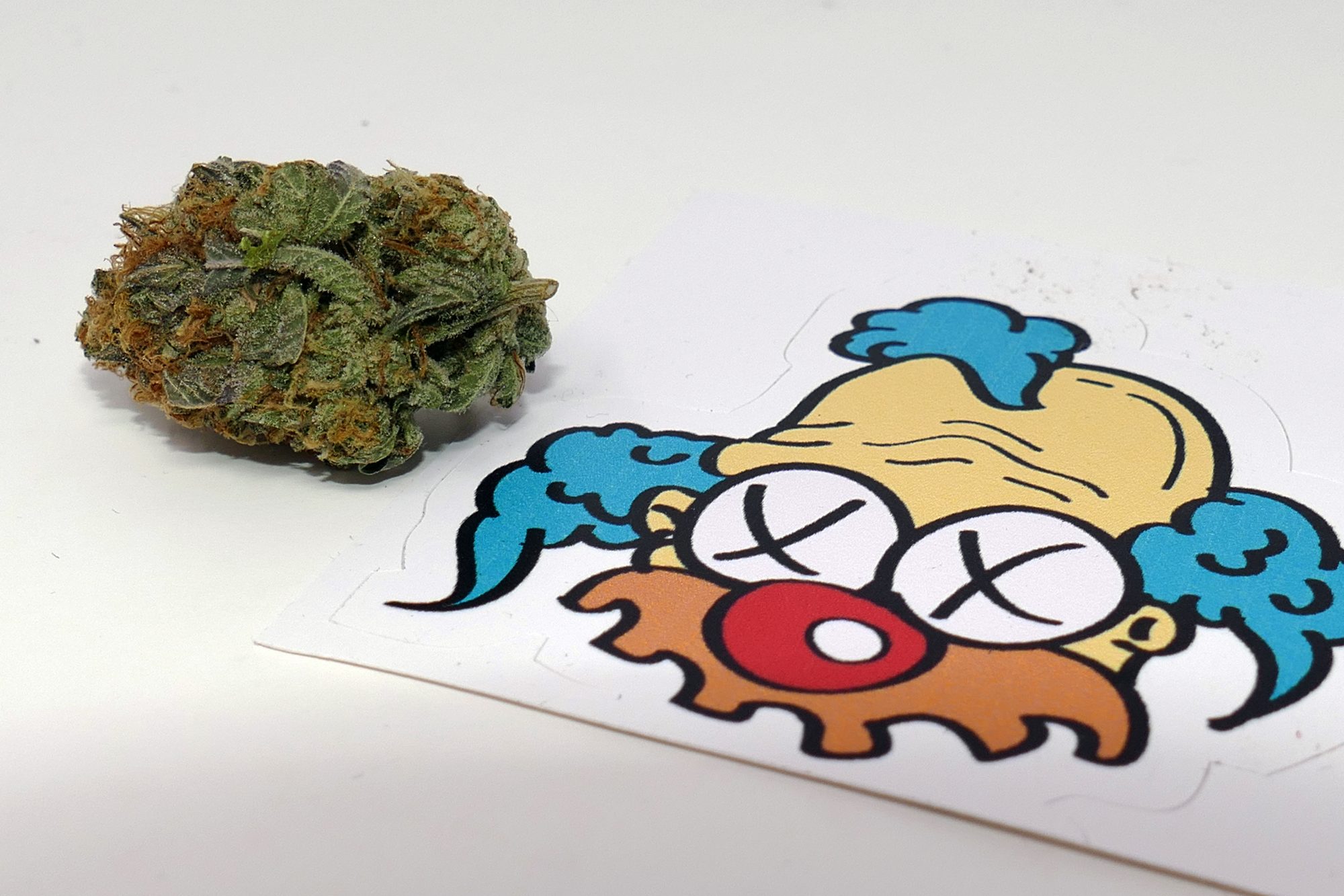 Archive image 2 for Violator Kush Cannabis Information & Review