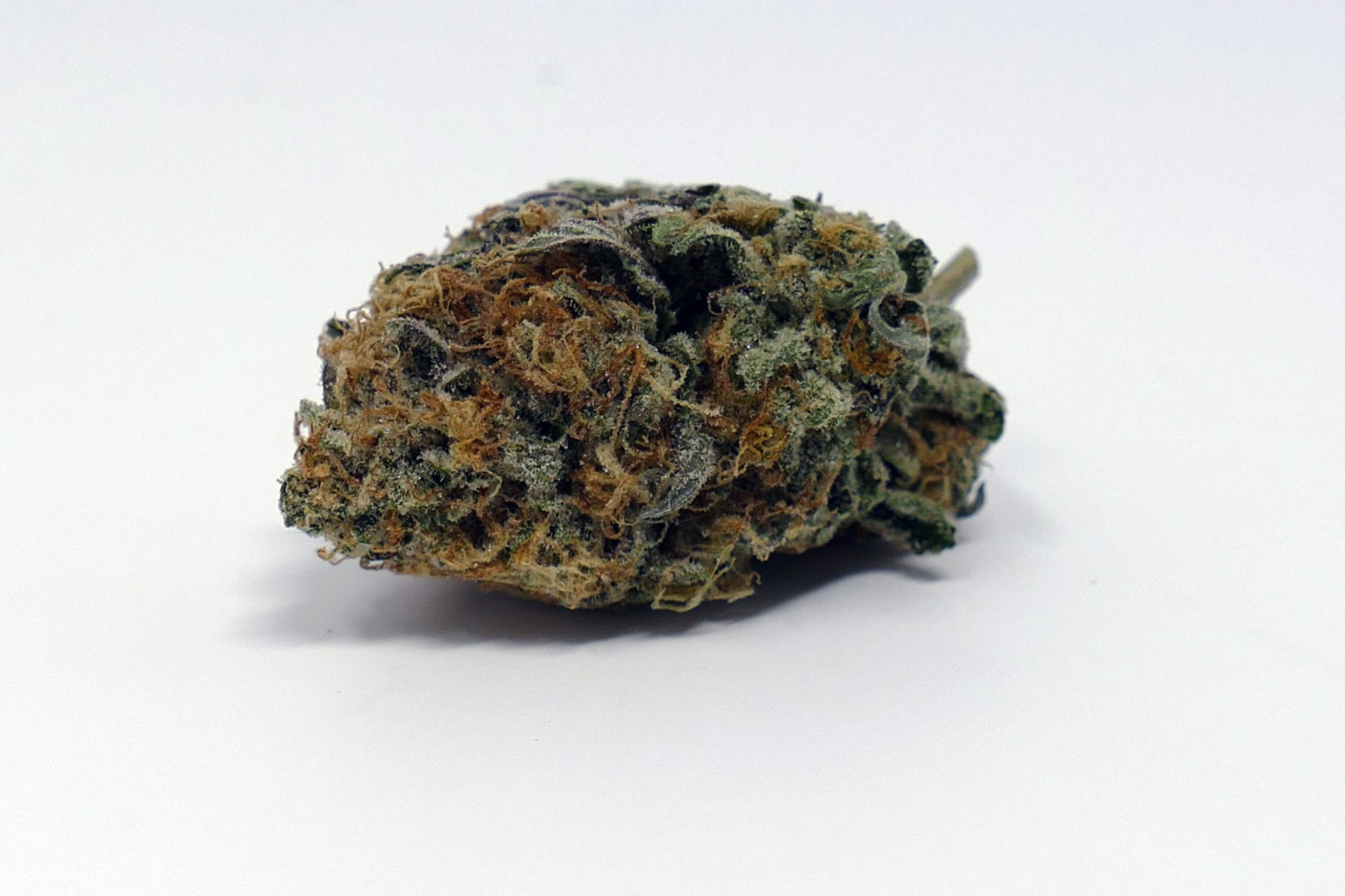 Archive image 5 for Violator Kush Cannabis Information & Review