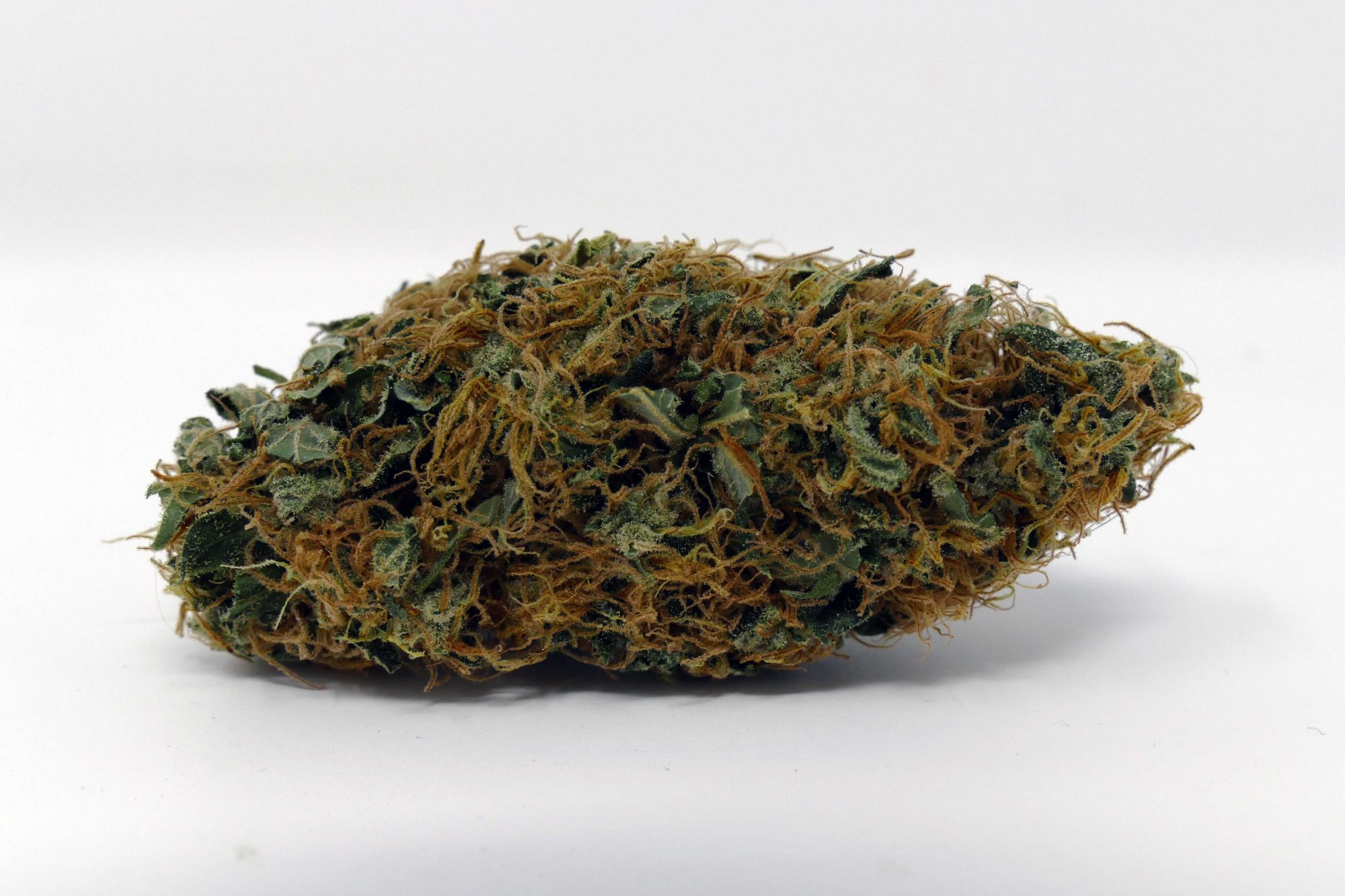Archive image 4 for White Widow Cannabis Strain Information Feature