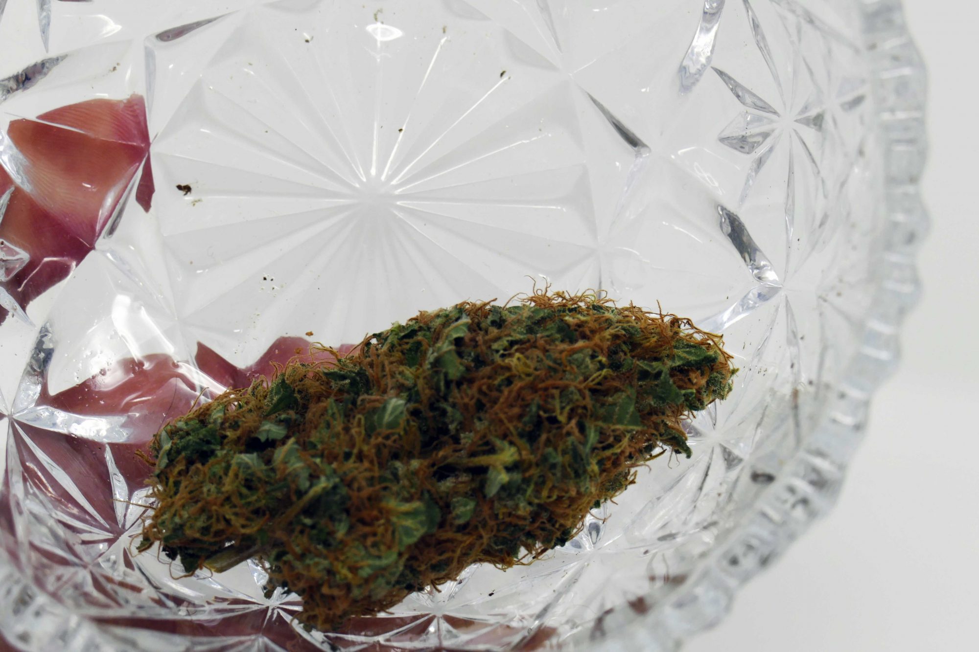 Archive image 7 for White Widow Cannabis Strain Information Feature