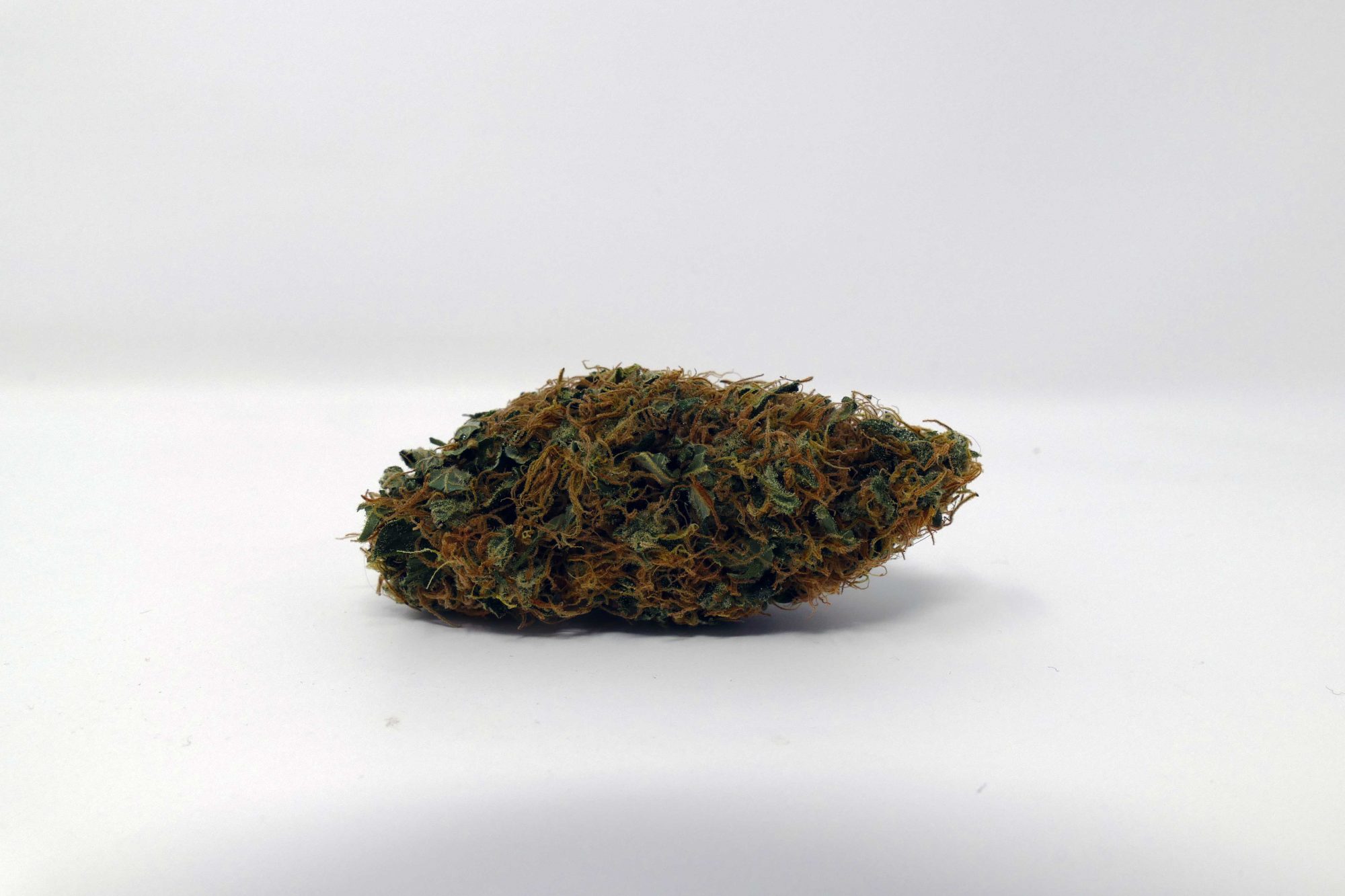 Archive image 8 for White Widow Cannabis Strain Information Feature