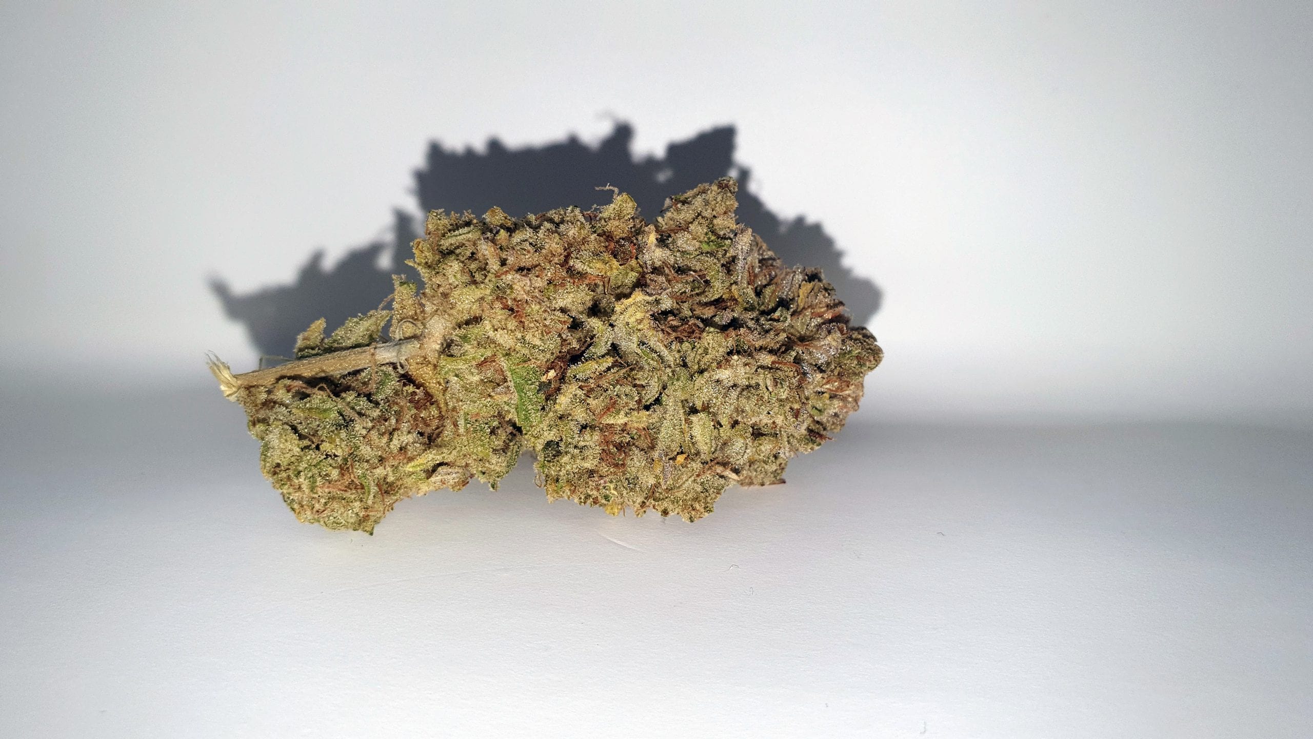 Archive image 4 for Yeti OG Cannabis Strain Review & Information